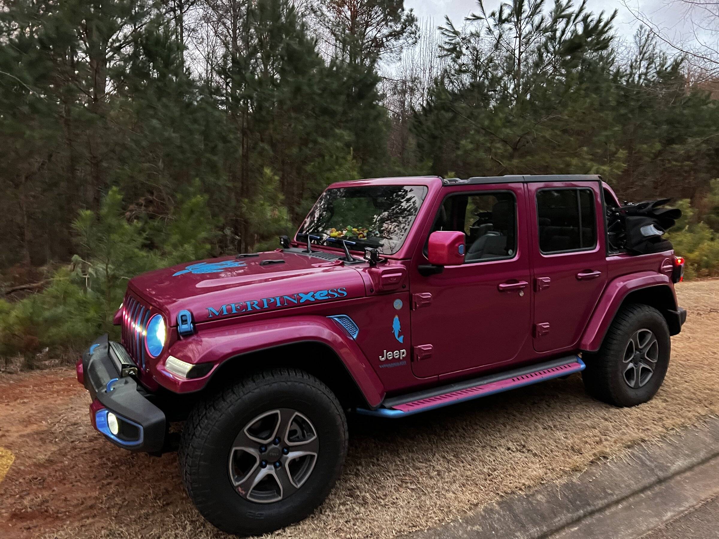 Jeep Wrangler JL Jeep names! 732F9DCF-274D-4F2C-8B43-87C63D0CDCAF