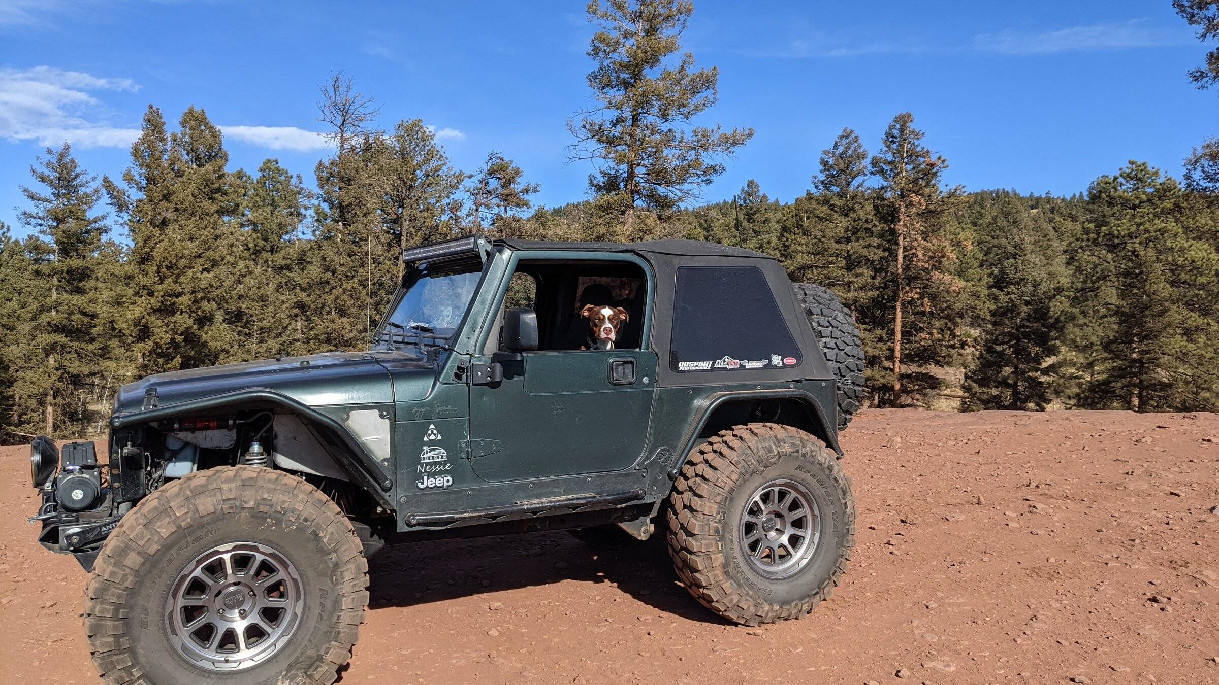 Jeep Wrangler JL Jeep Dog pics PXL_20211111_195954211