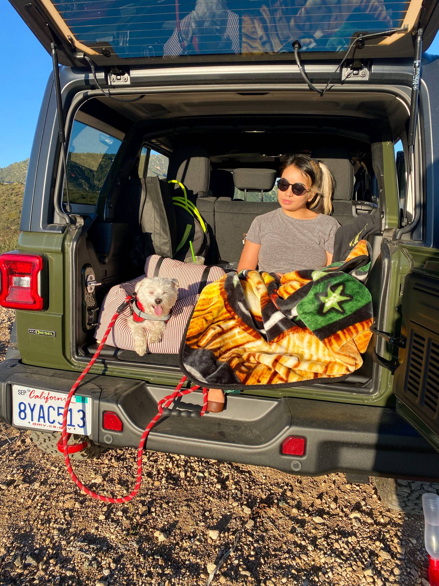Jeep Wrangler JL Jeep Dog pics F92BA106-2FCB-4C5C-94BE-41E2C5F1F97C