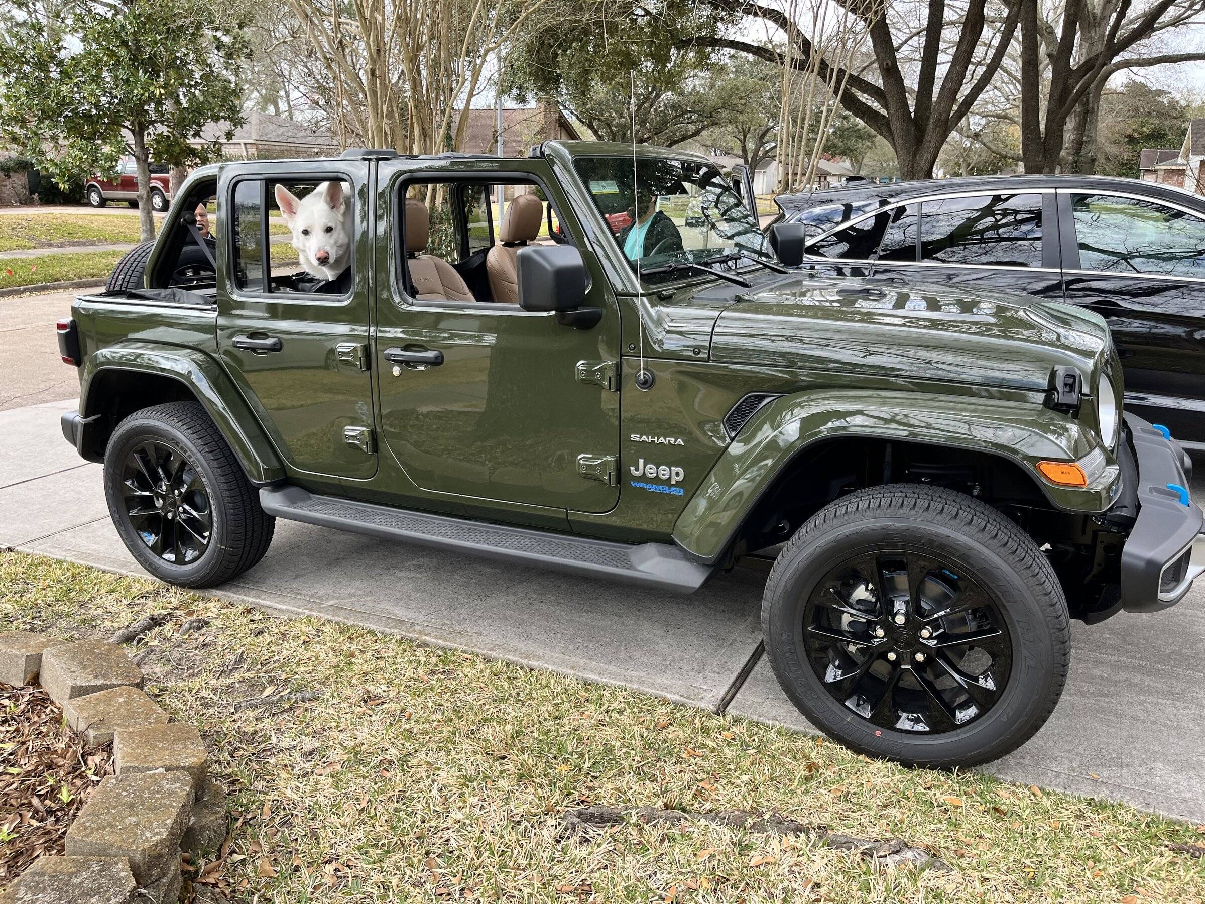 Jeep Wrangler JL Jeep Dog pics BBC50ABE-4632-4C55-846E-D9958612BD2B