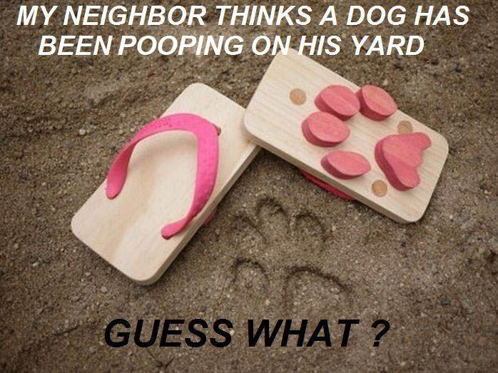 random-38.jpg