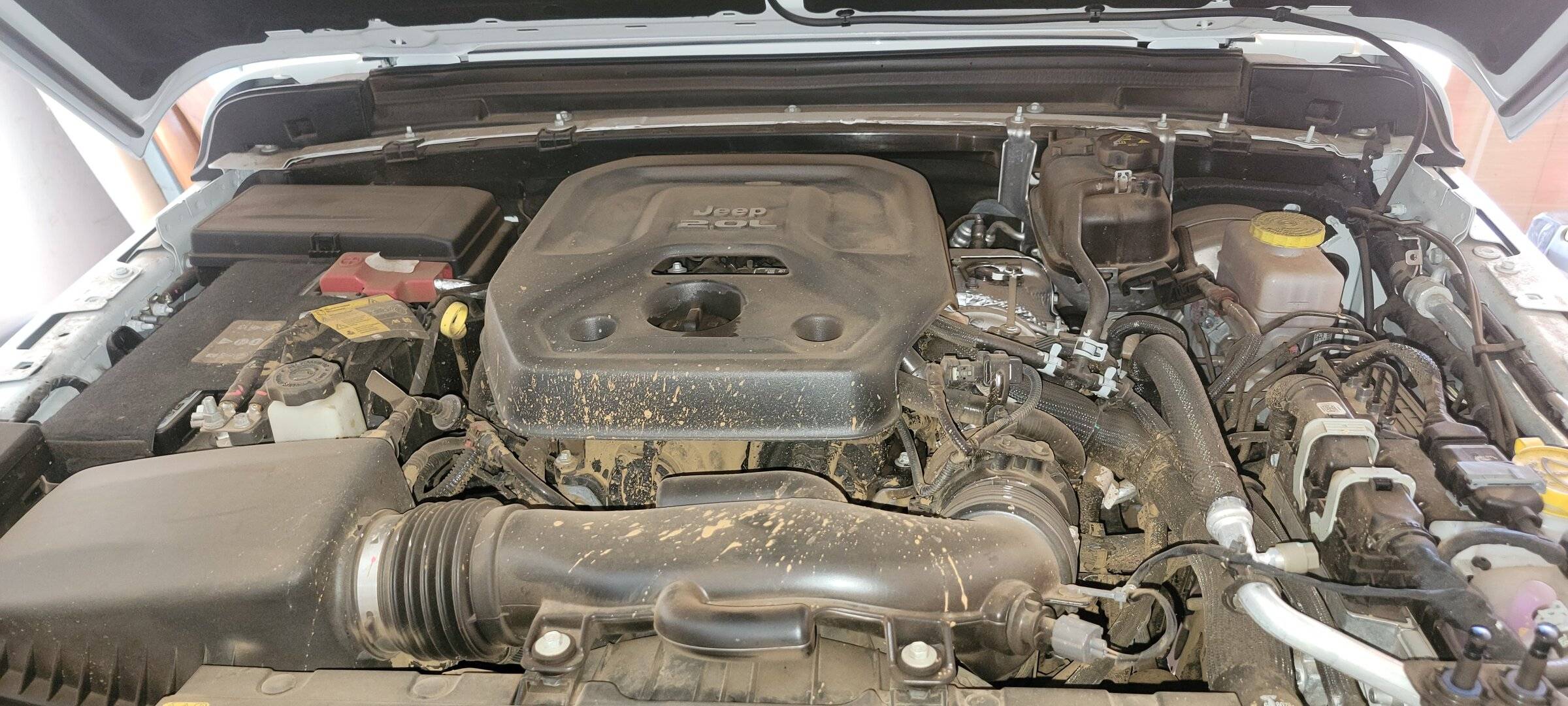 Jeep Wrangler JL Tips on cleaning mud off the 2.0 turbo engine? 2022-03-20 11.56.44