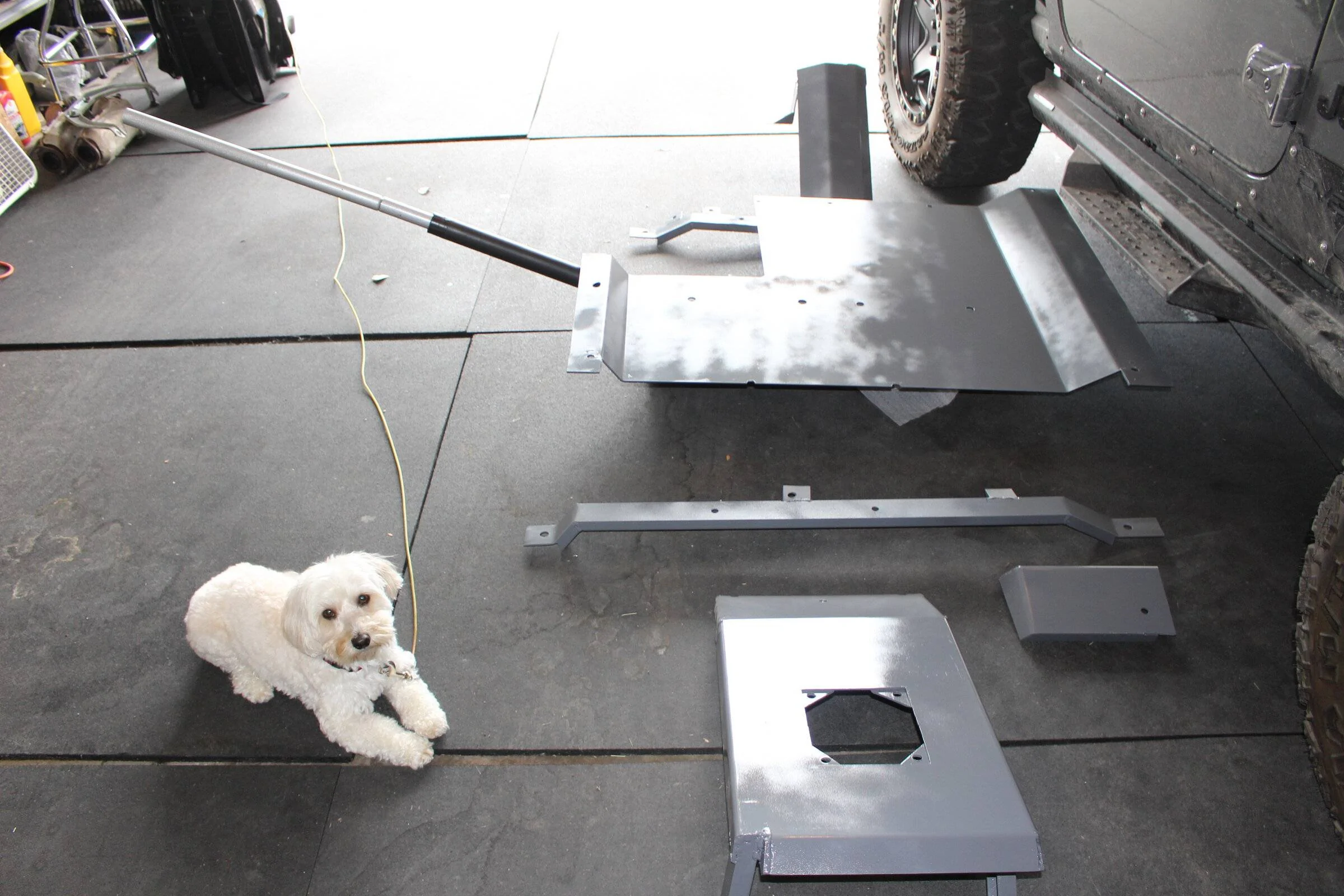 Jeep Wrangler JL Jeep Dog pics IMG_0635