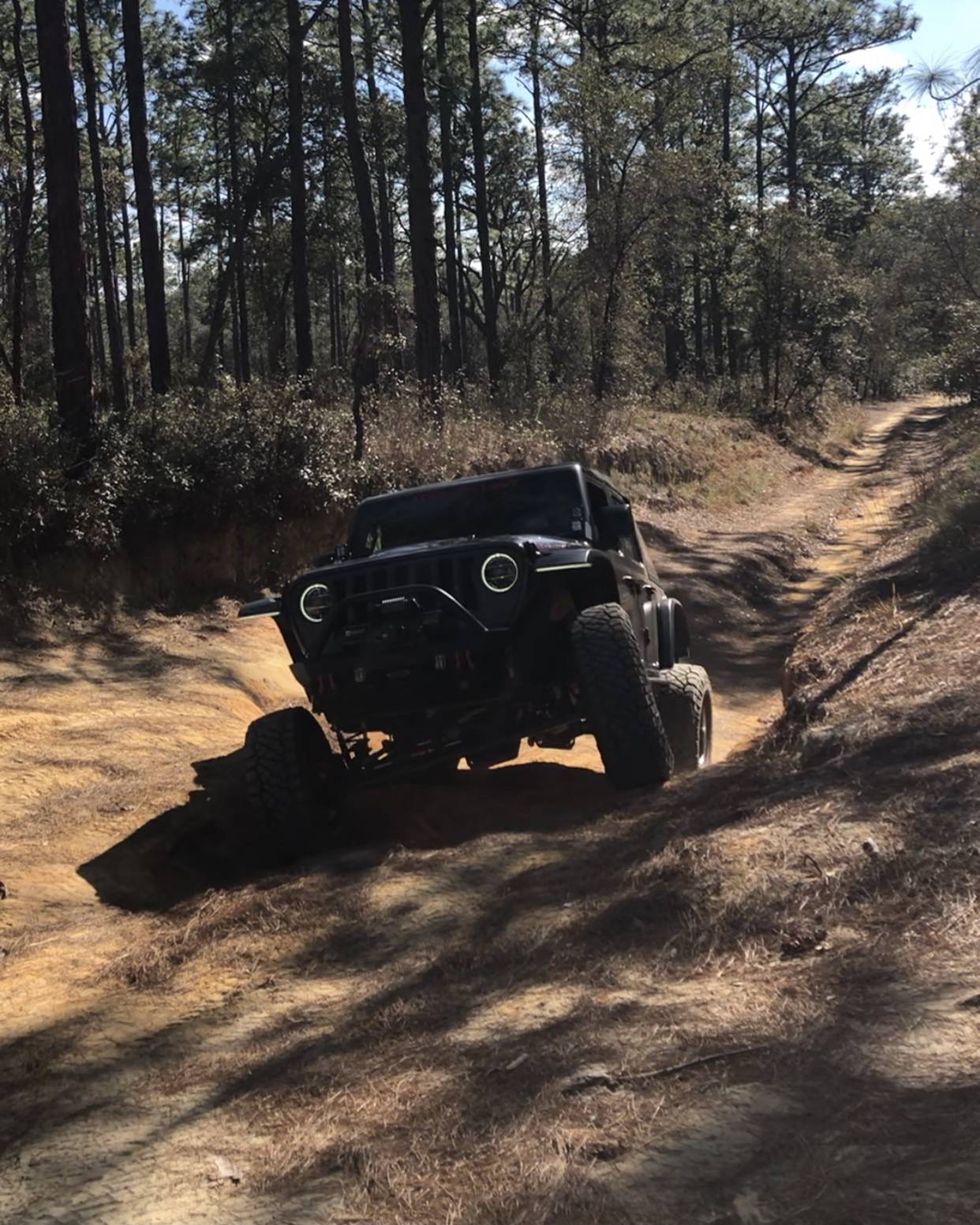 Jeep Wrangler JL Florida Roll Call! 90C02420-A145-4284-9E3B-12B3ABE5E47B