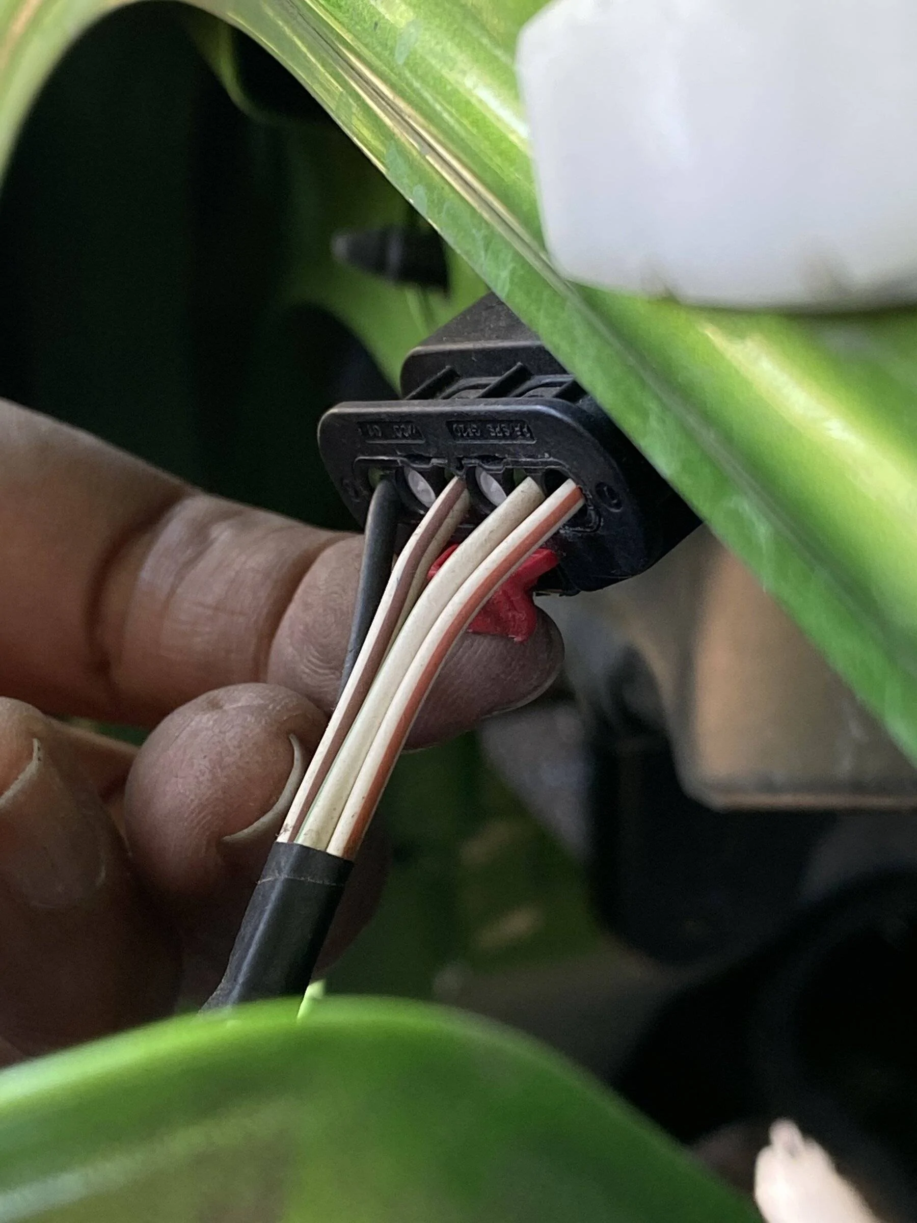 Jeep Wrangler JL When did your battery die? 327A1D43-EE36-4896-B2B4-B58F8672FB20