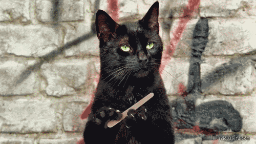 94D3640A-4201-4E5B-AE0F-63C55E2C3765.gif