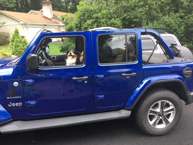 Jeep Wrangler JL What did you do TO your Jeep JL today? Backbone1