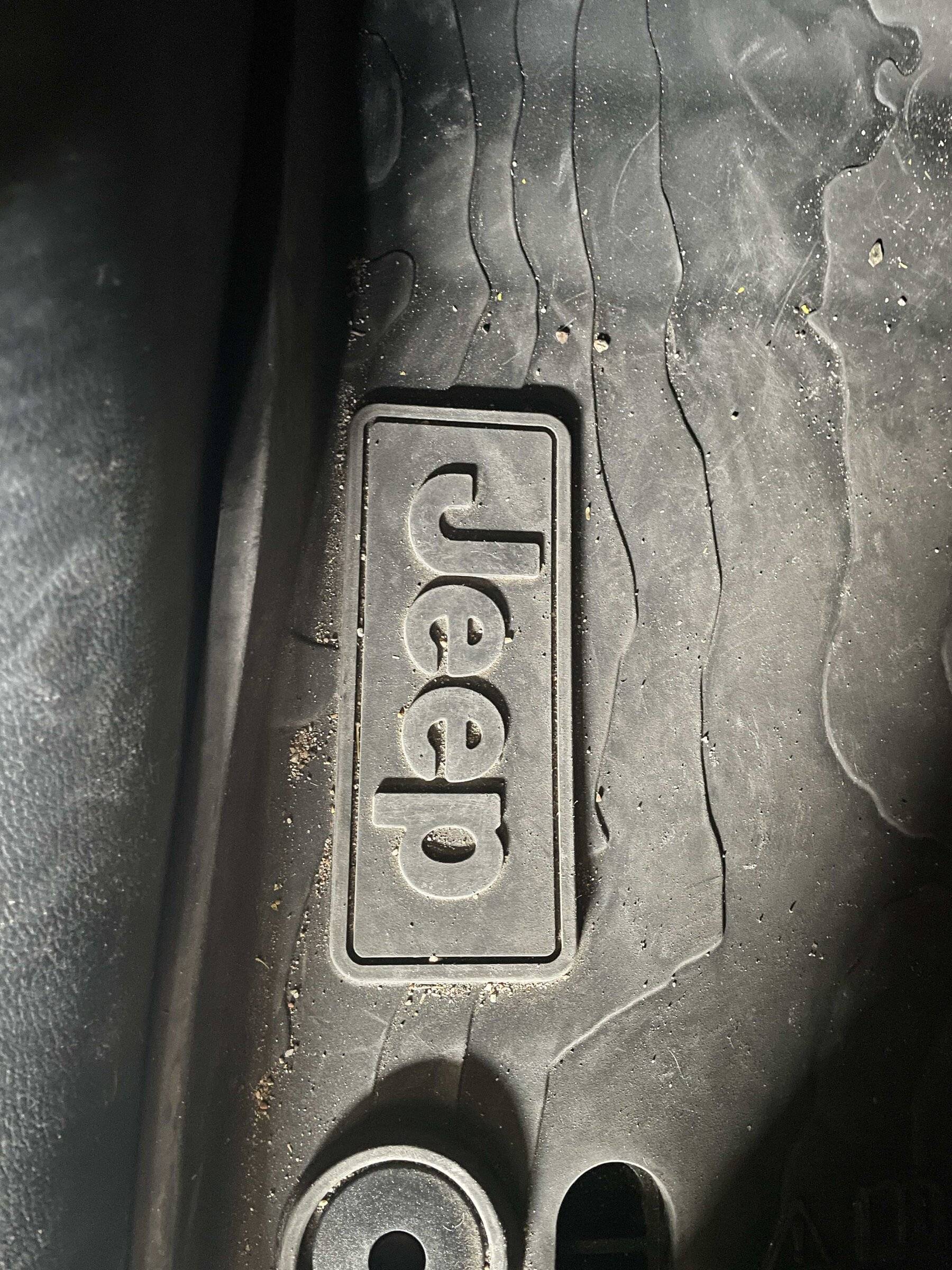 Jeep Wrangler JL Jeep Thongs... Jee