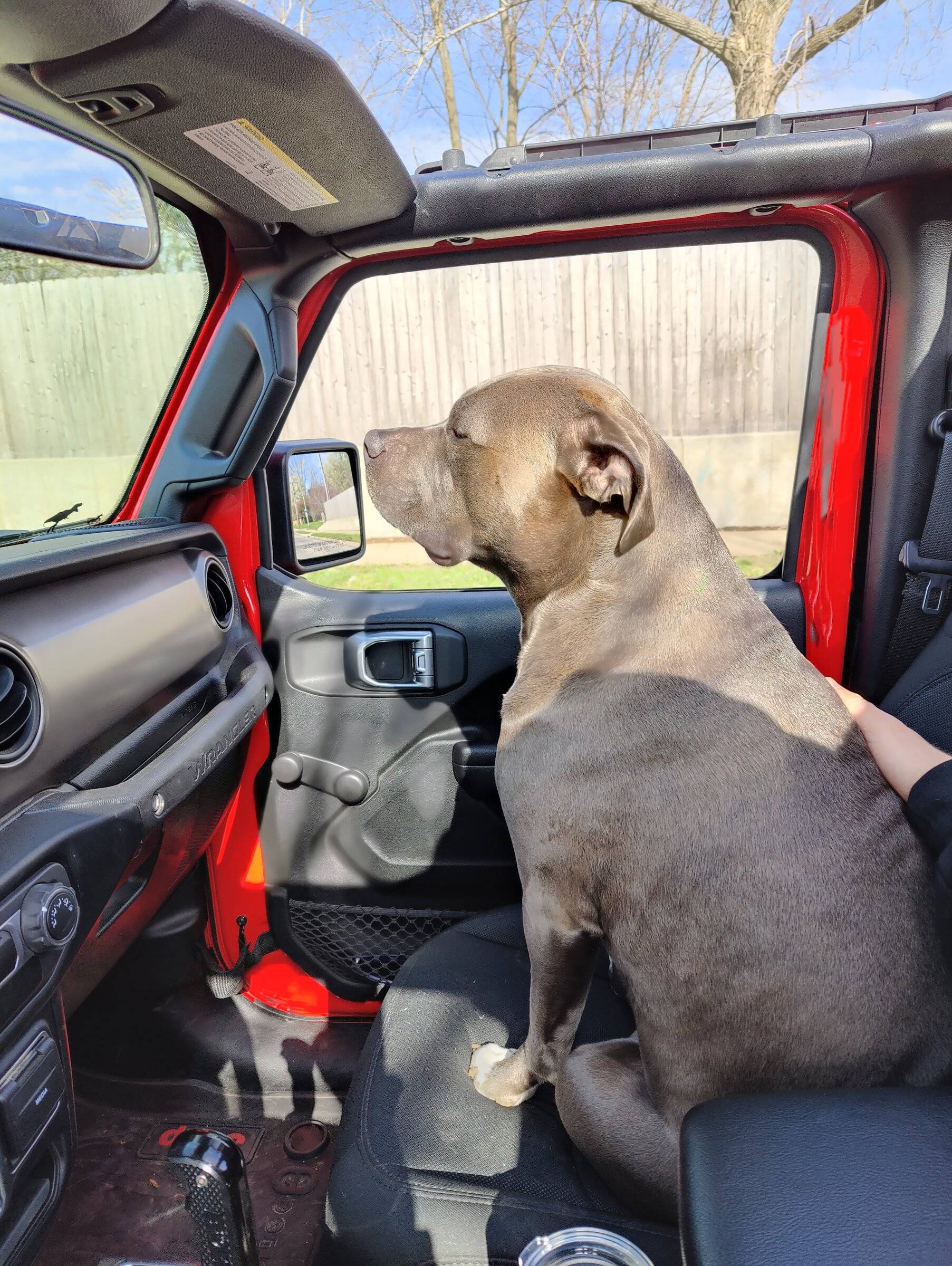 Jeep Wrangler JL Jeep Dog pics IMG20220413165157