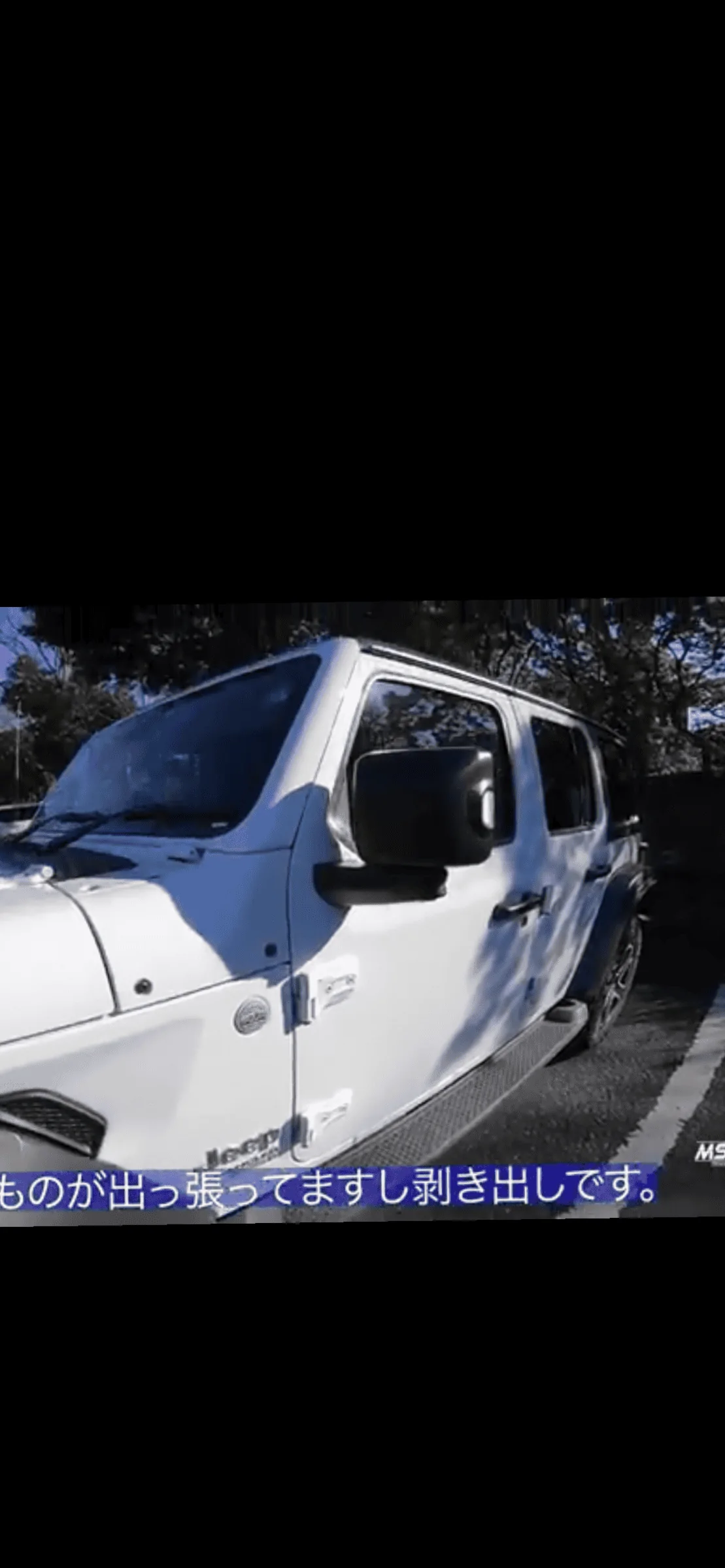 Jeep Wrangler JL Japan's Side View Cameras? 3F7AAC80-64B2-4841-9104-0F391D89825F