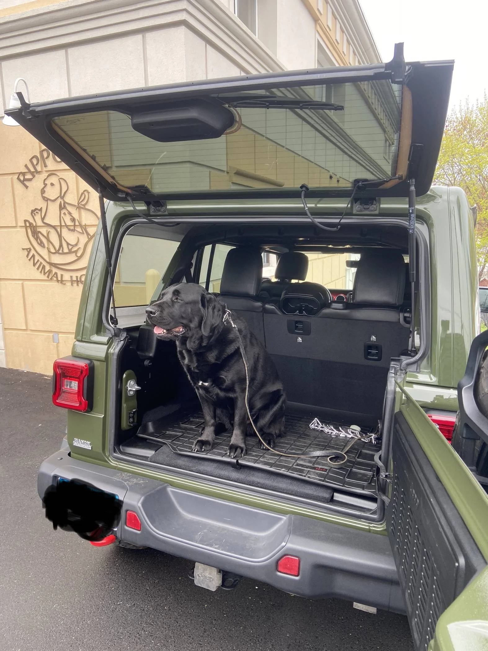 Jeep Wrangler JL Jeep Dog pics 1B9EC7EF-711F-4284-AF1F-582781641637