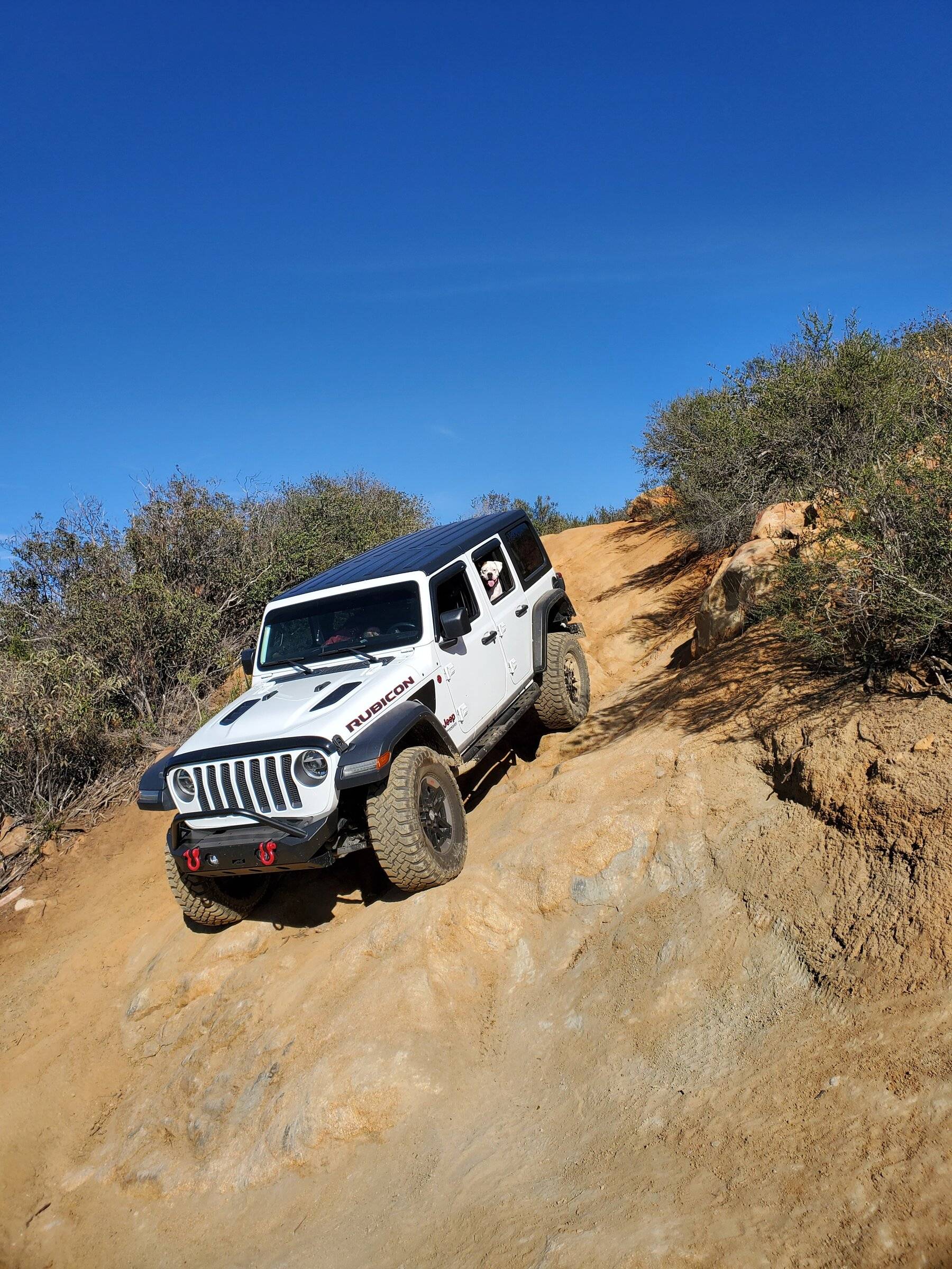 Jeep Wrangler JL Jeep Dog pics 20220128_142606