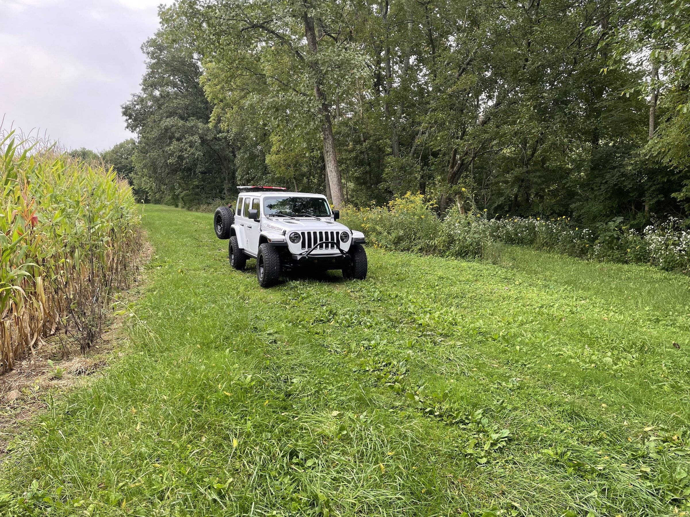 Jeep Wrangler JL Anyone tint fender lights? 0CB29D17-A2FF-4BF1-8232-3FA152A1DDFA