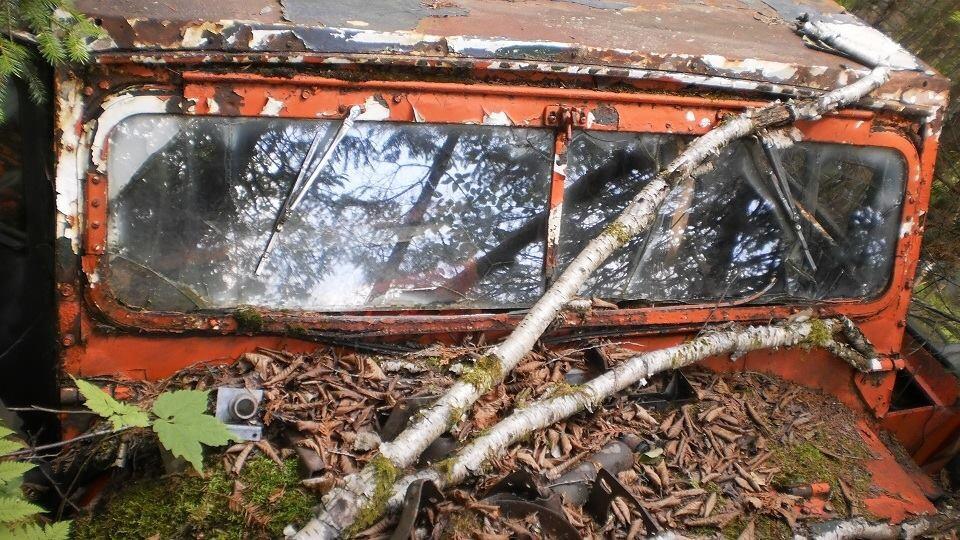 Jeep Wrangler JL Windshield wiper should have been top mounted? 674098F4-D279-4664-A90A-E17F335230B9