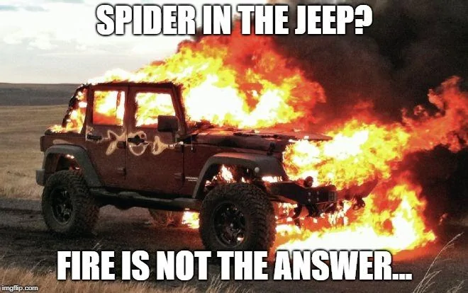 Jeep Wrangler JL What did you do TO your Jeep JL today? 2czhu1