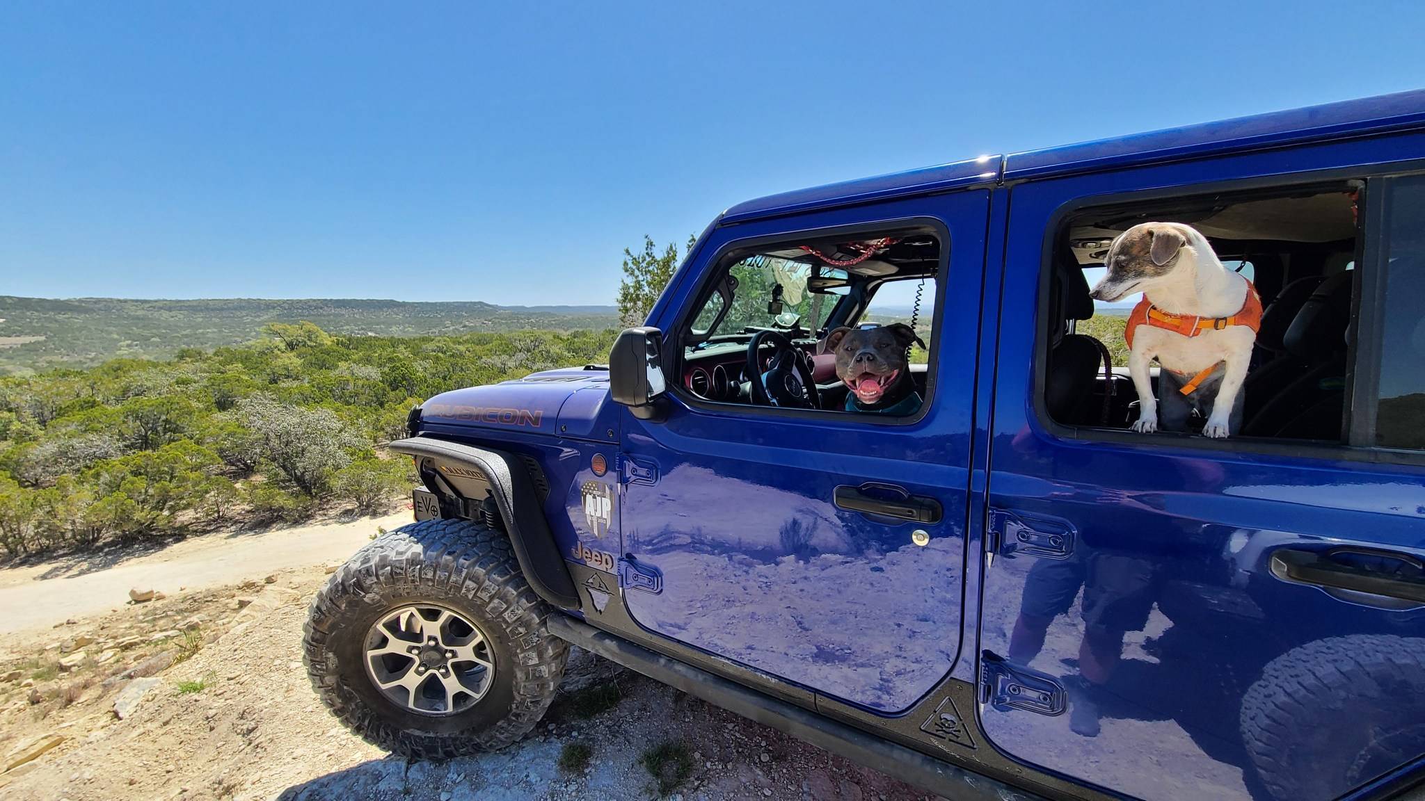 Jeep Wrangler JL Jeep puppies 7DD9DD89-B2F9-4A38-99B0-4CF7012DFCF6