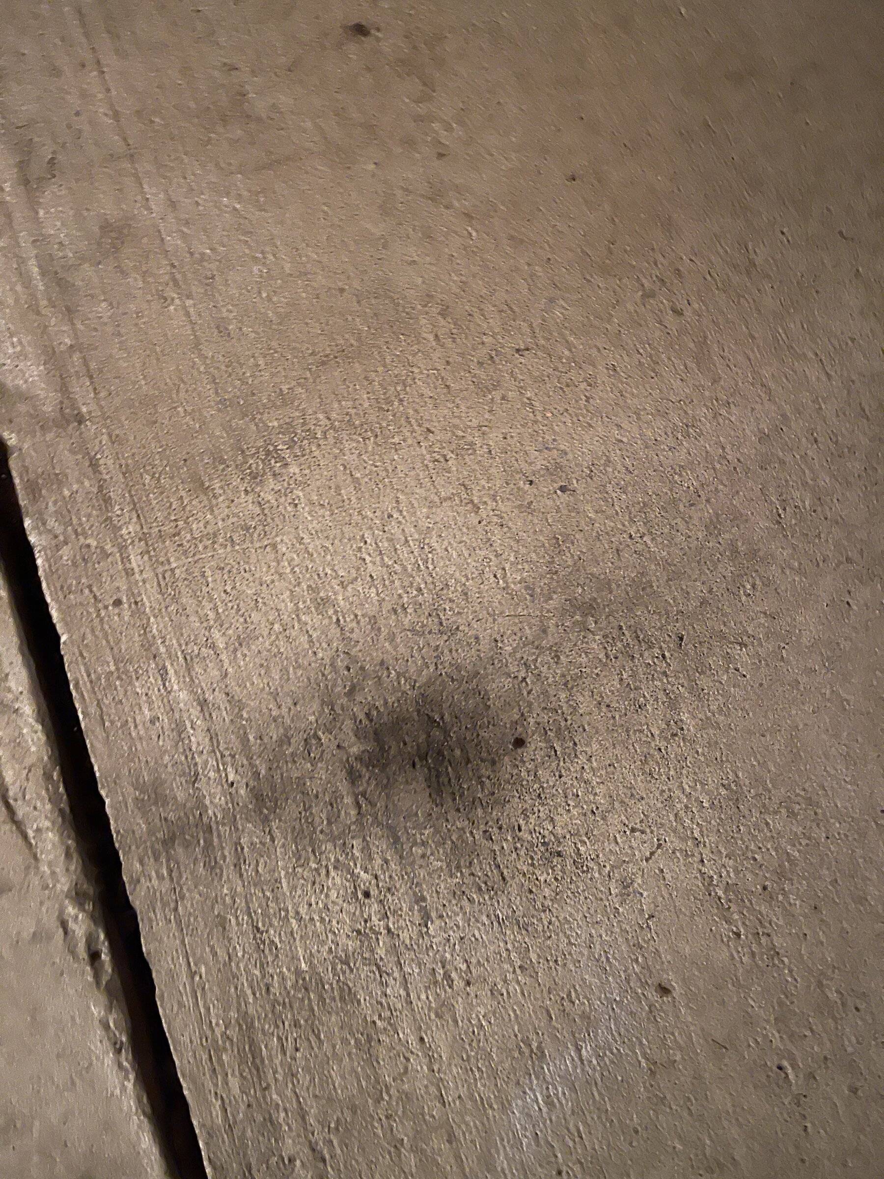 Jeep Wrangler JL 2.0T eTotque - Soot on floor under exhaust 1860F4C6-EBDA-4CF0-B7AE-FC9C80B2ACB8