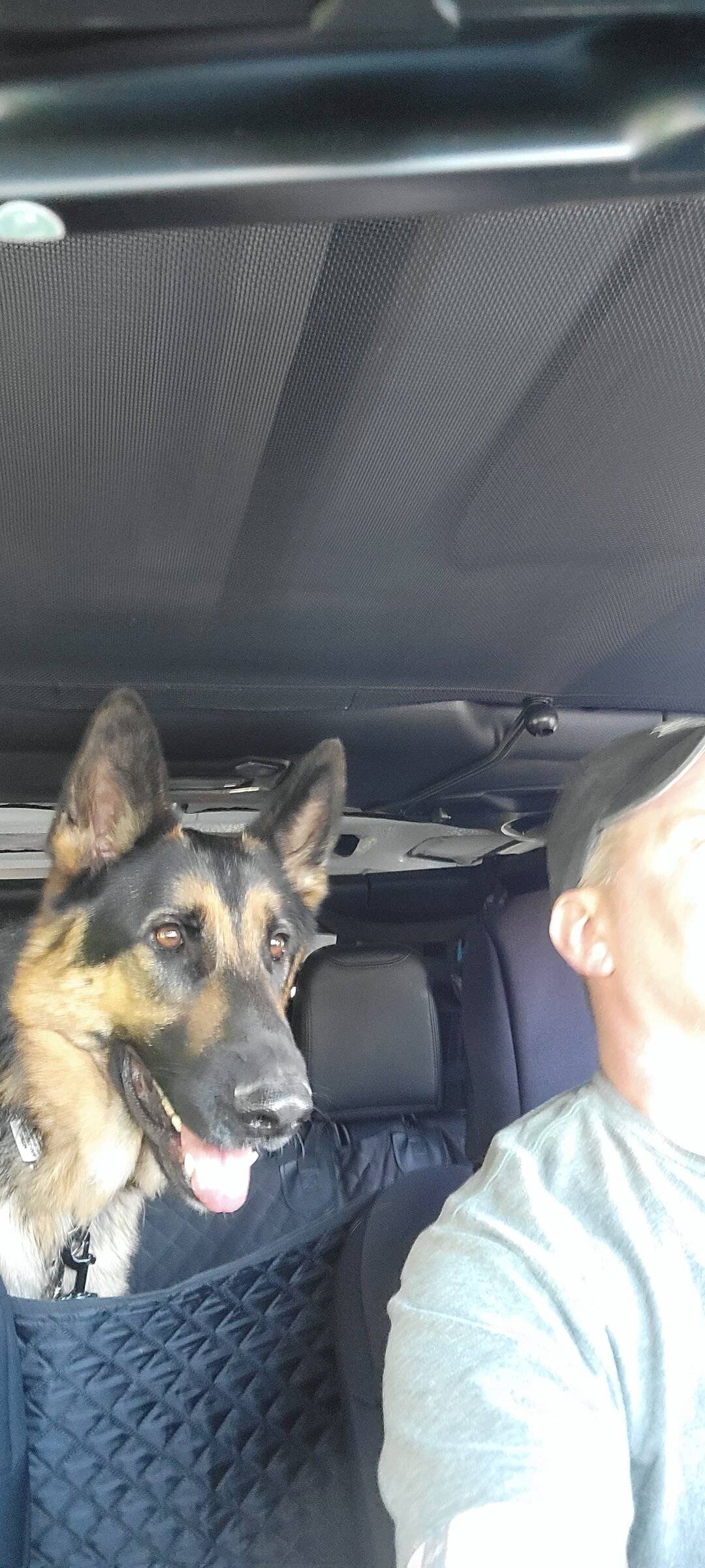 Jeep Wrangler JL Jeep Dog pics 20220507_164759