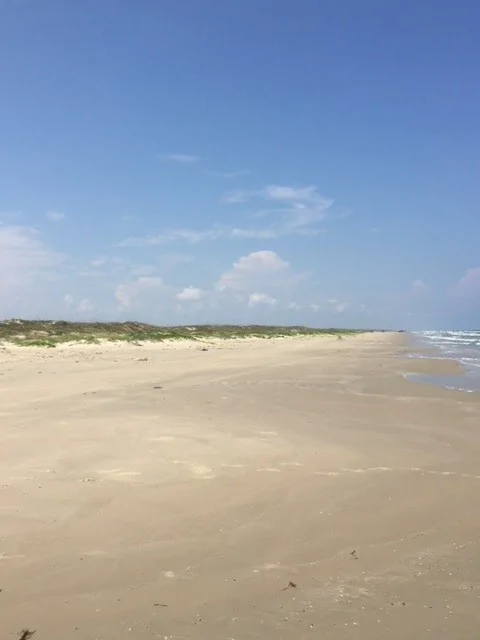 Jeep Wrangler JL Driving on the Beach PINS1