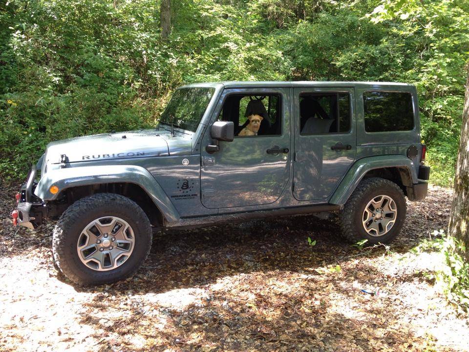 Jeep Wrangler JL Jeep Dog pics 5DFE3247-EF98-4467-A37F-8463D3FA2DD6