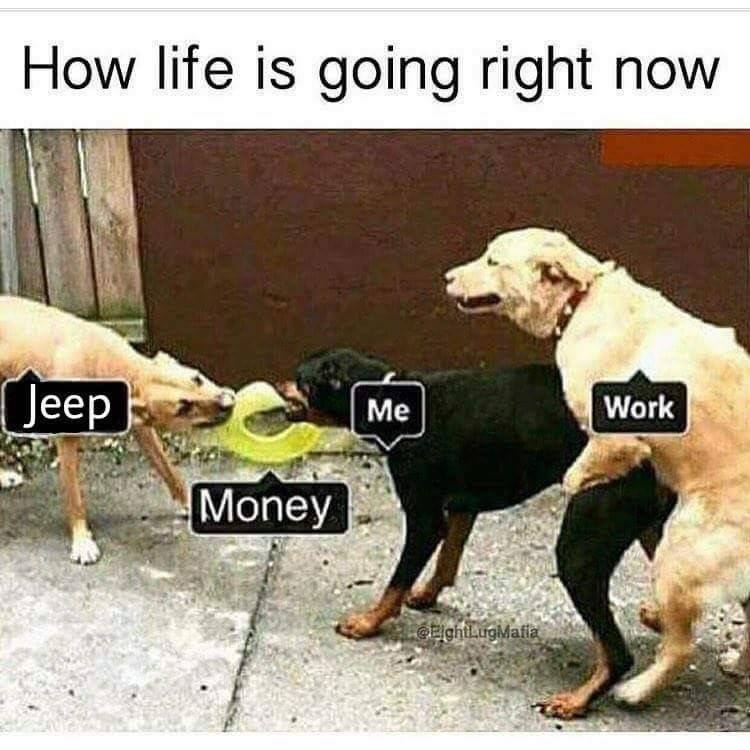 Jeep Wrangler JL Jeep memes BDCC5BEC-24FF-44DD-92C0-F37648EC00A9