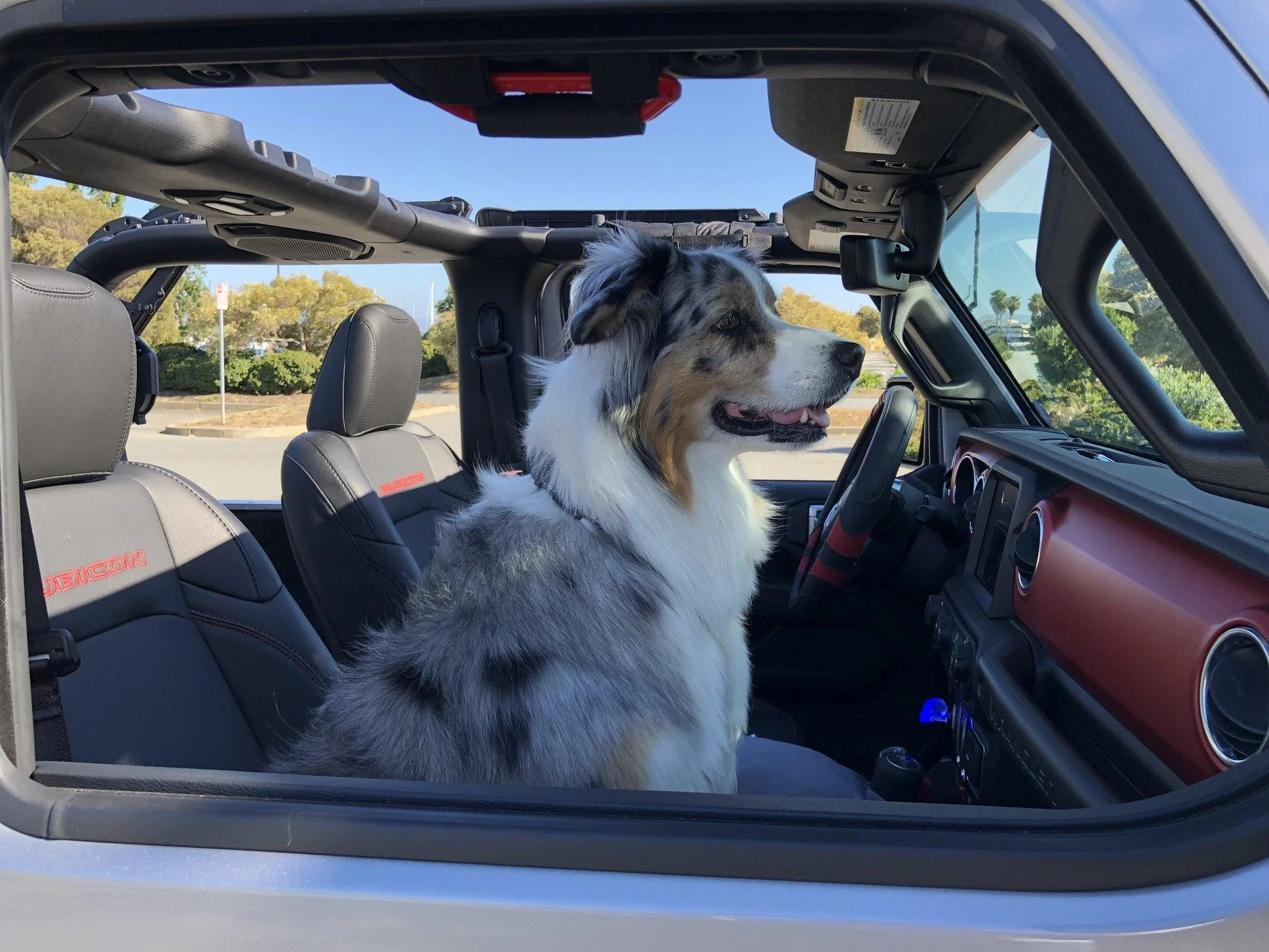 Jeep Wrangler JL 2 DOOR JL build/order discussions master thread IMG_2634