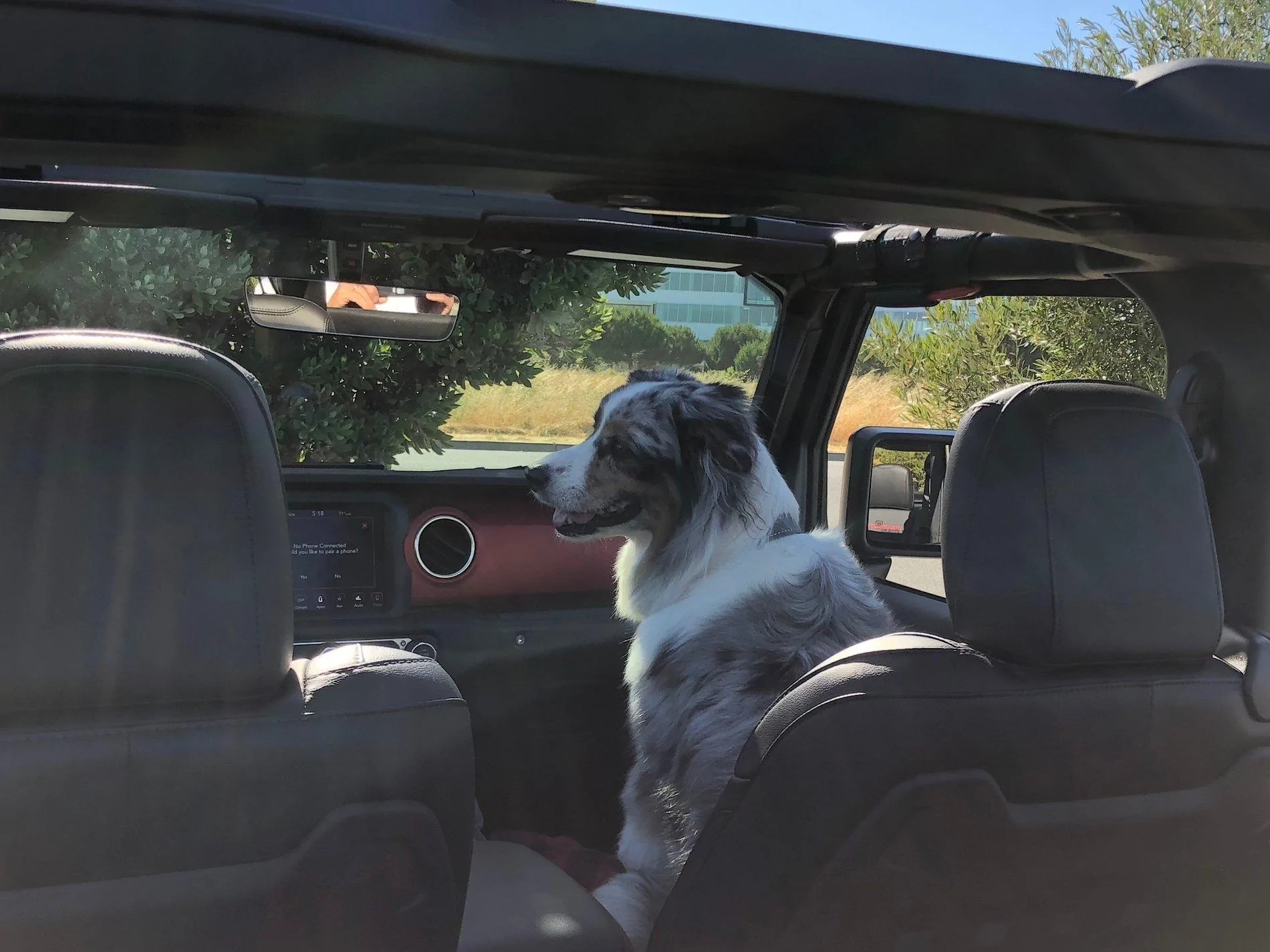 Jeep Wrangler JL 2 DOOR JL build/order discussions master thread IMG_2644