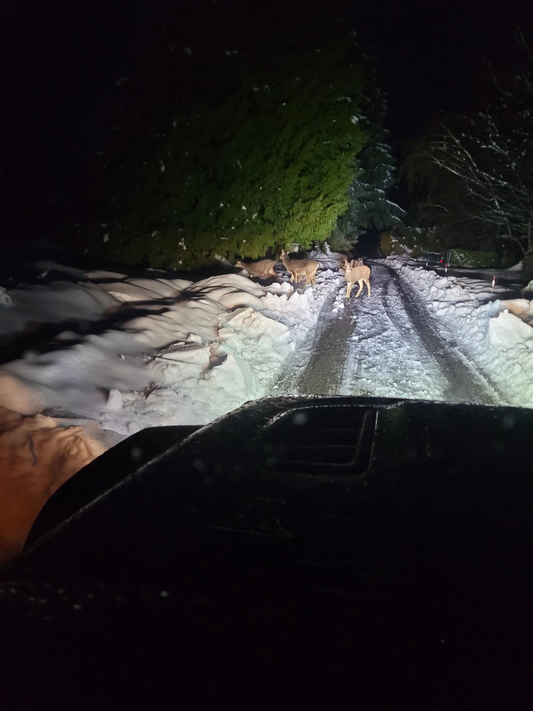 Jeep Wrangler JL Jeeps in Snow... post pics. 20220107_071214