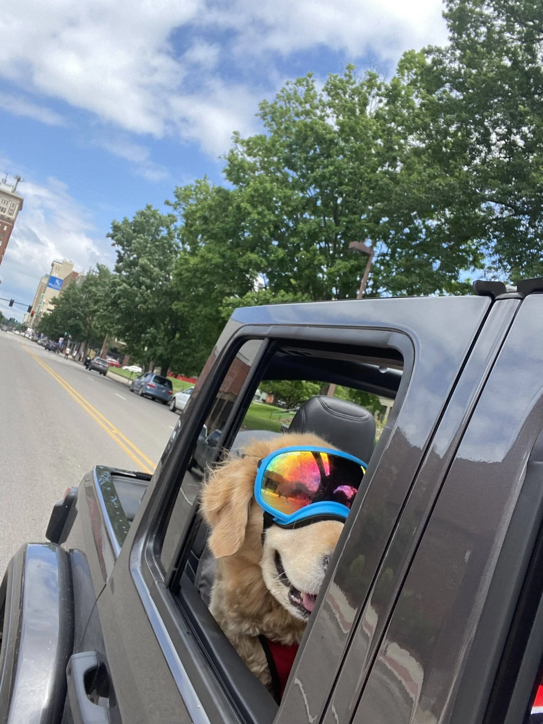 Jeep Wrangler JL Jeep Dog pics 88AC8647-ADC1-4D01-860E-8DCF69C30290