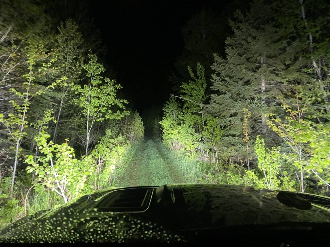 Jeep Wrangler JL Loving the Off-Road Thrill 608FC18E-6B5C-459D-B3C7-1F066AB153BD