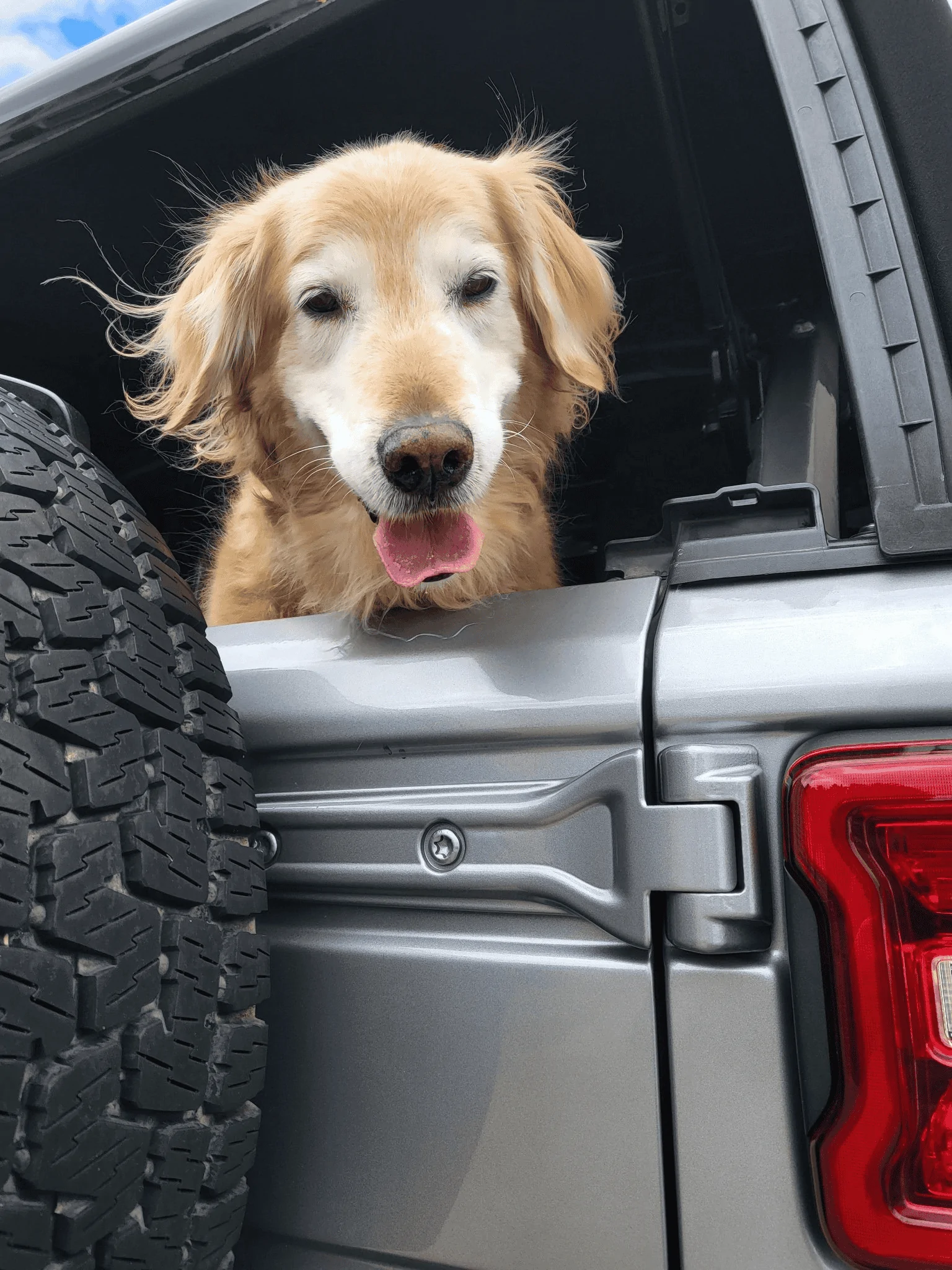 Jeep Wrangler JL Jeep Dog pics 1654088286769