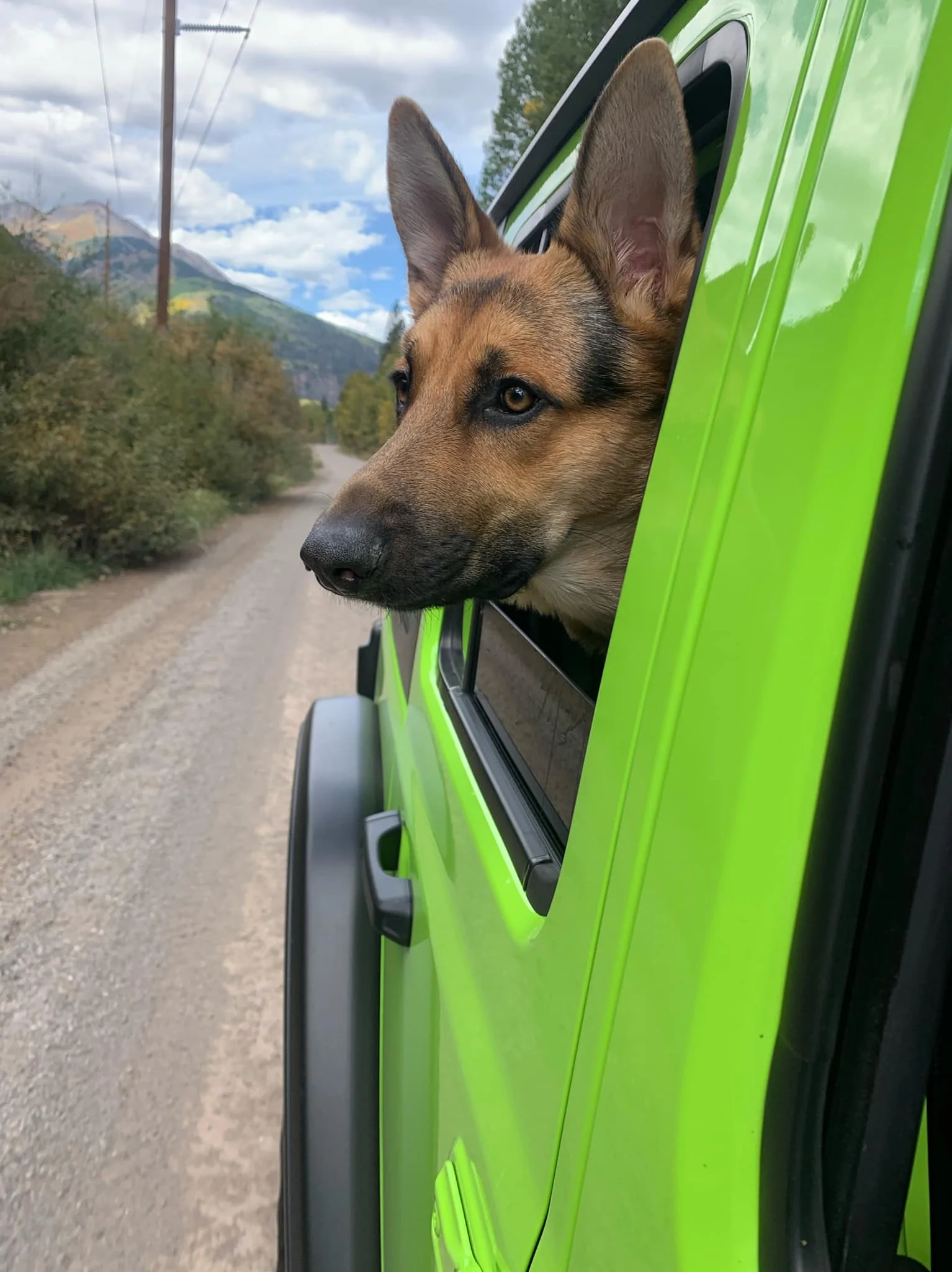 Jeep Wrangler JL Kiwi & Achilles: Historical Reference JLUR4xe Build Journal 242824577_10158728648962669_6565770797203199493_n