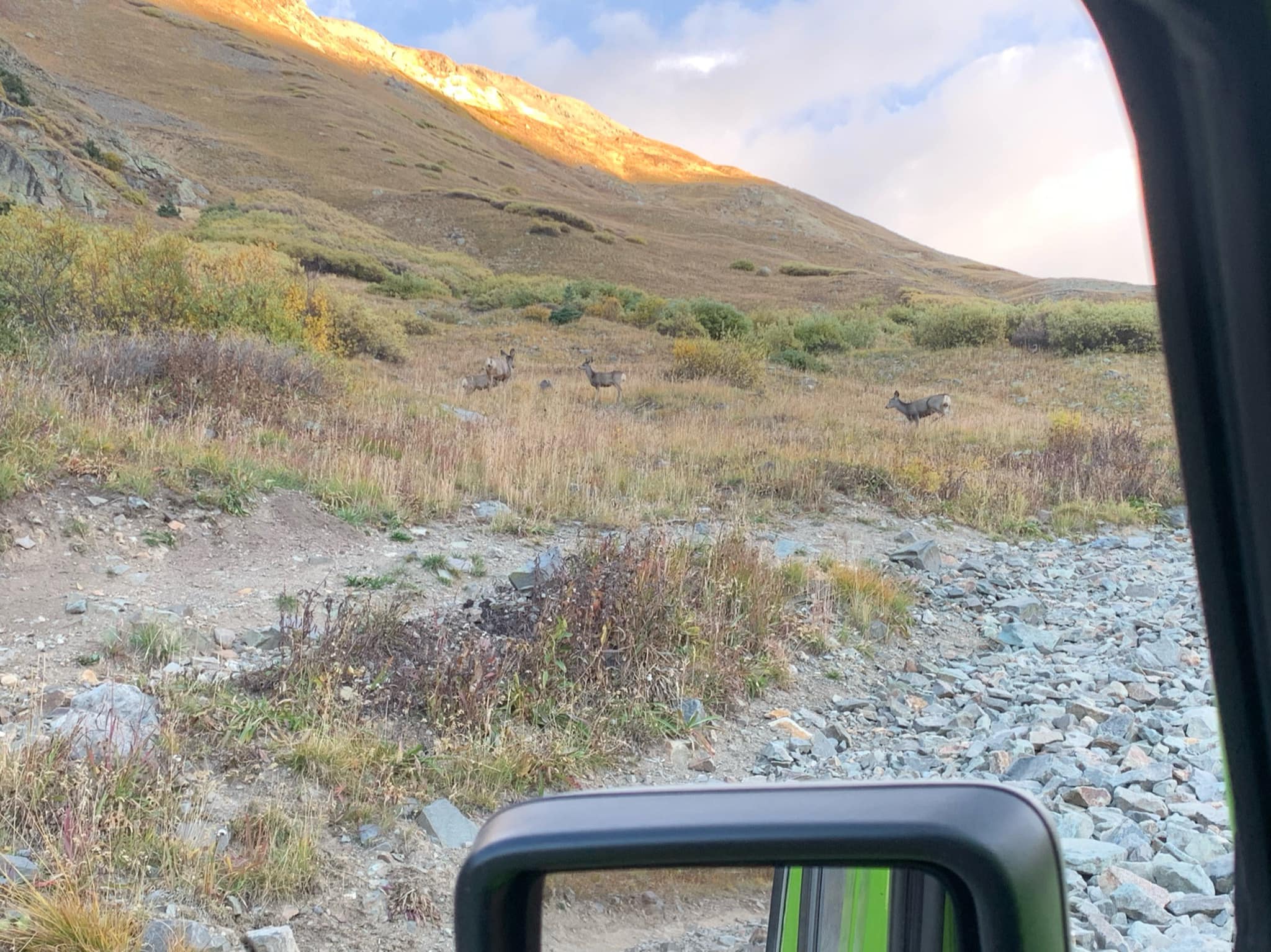 Jeep Wrangler JL Kiwi & Achilles: Historical Reference JLUR4xe Build Journal 242912810_10158730881927669_8428358010043359462_n