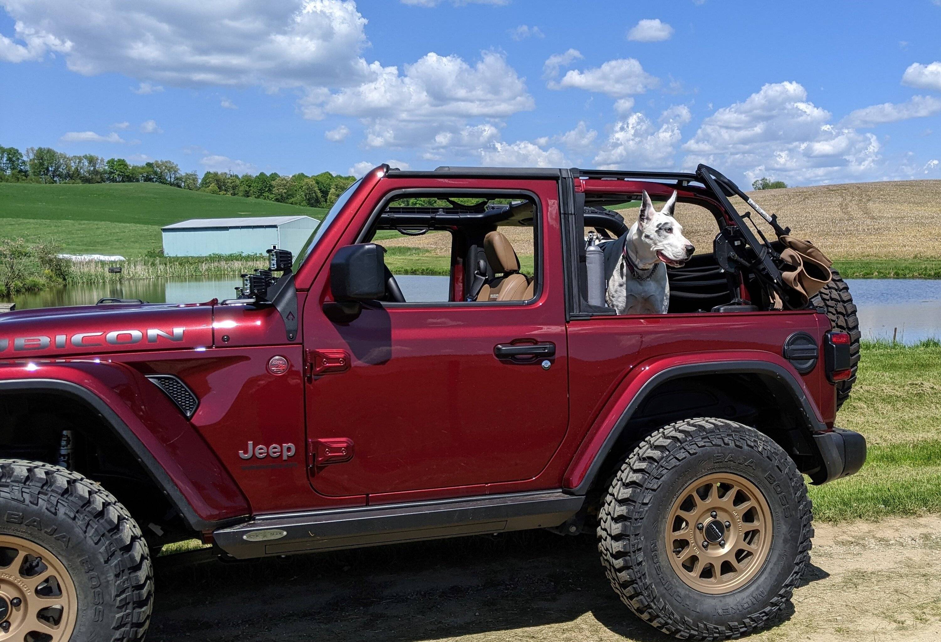 Jeep Wrangler JL Jeep Dog pics PXL_20220515_192352005 (3)