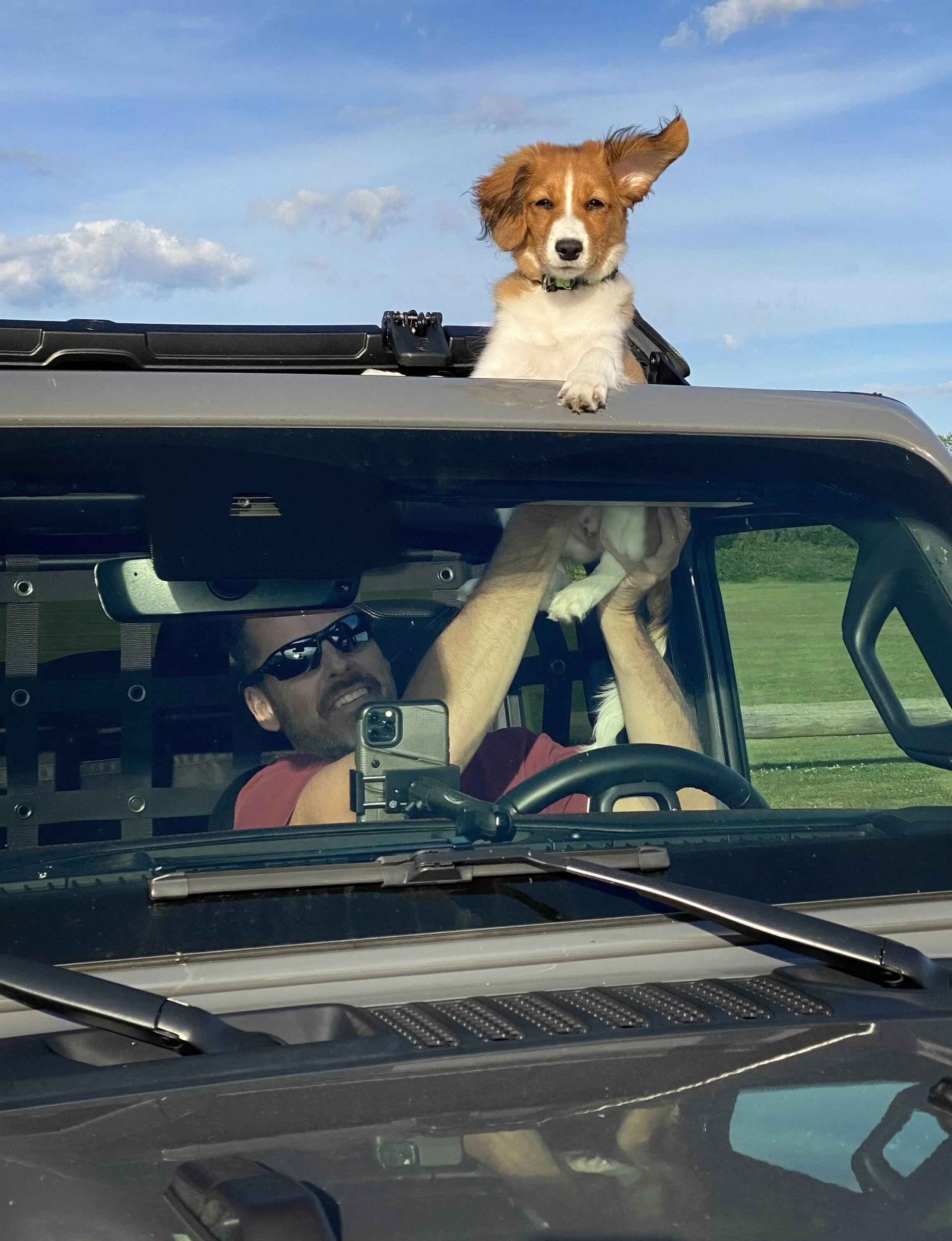 Jeep Wrangler JL Jeep Dog pics Kenzie going topless