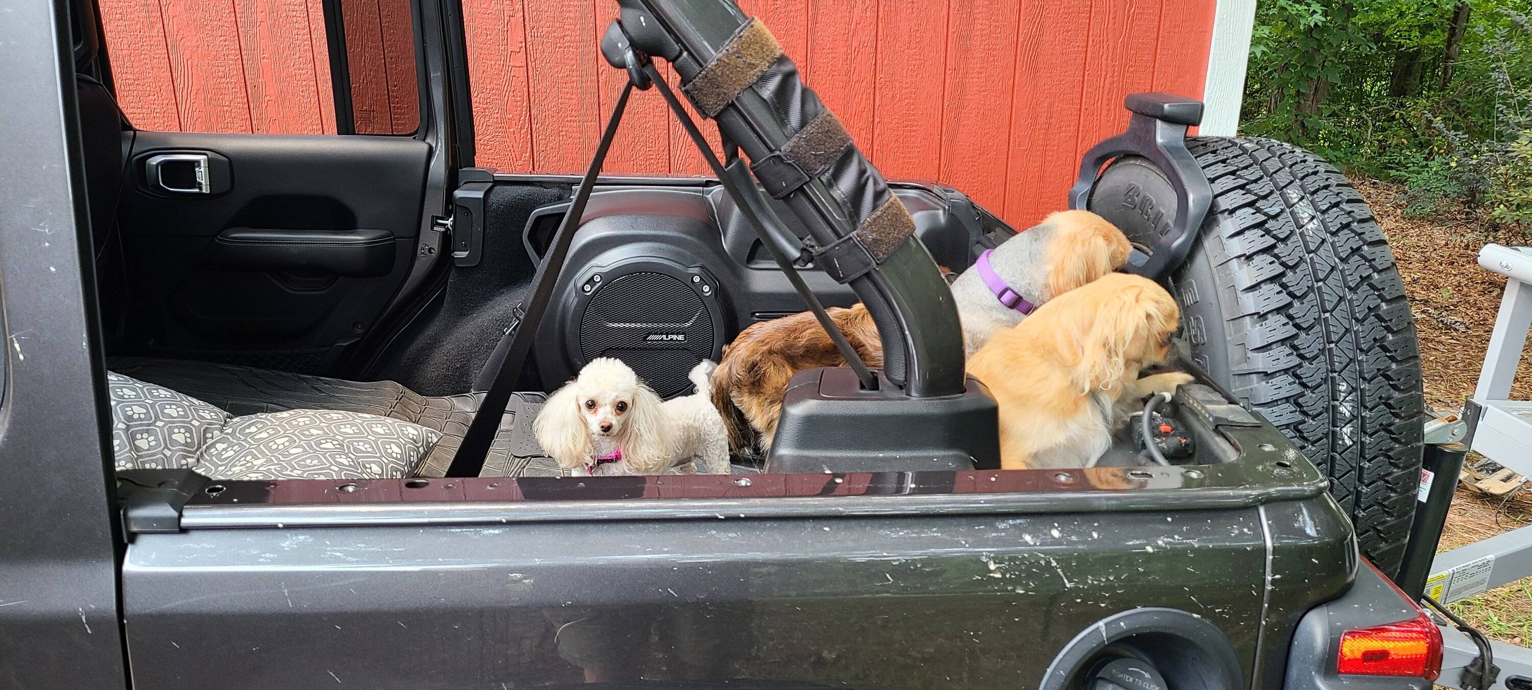 Jeep Wrangler JL Jeep Dog pics 20210705_133013