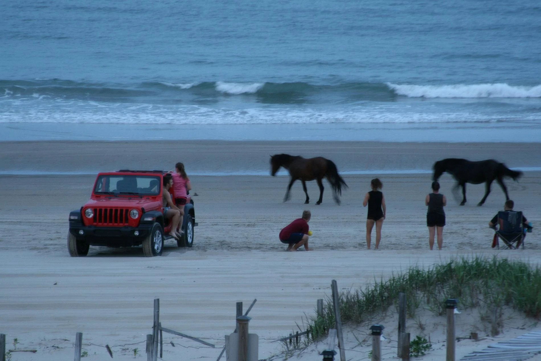 Jeep Wrangler JL Jeeps on the Beach... Post Em Up! IMG_6934