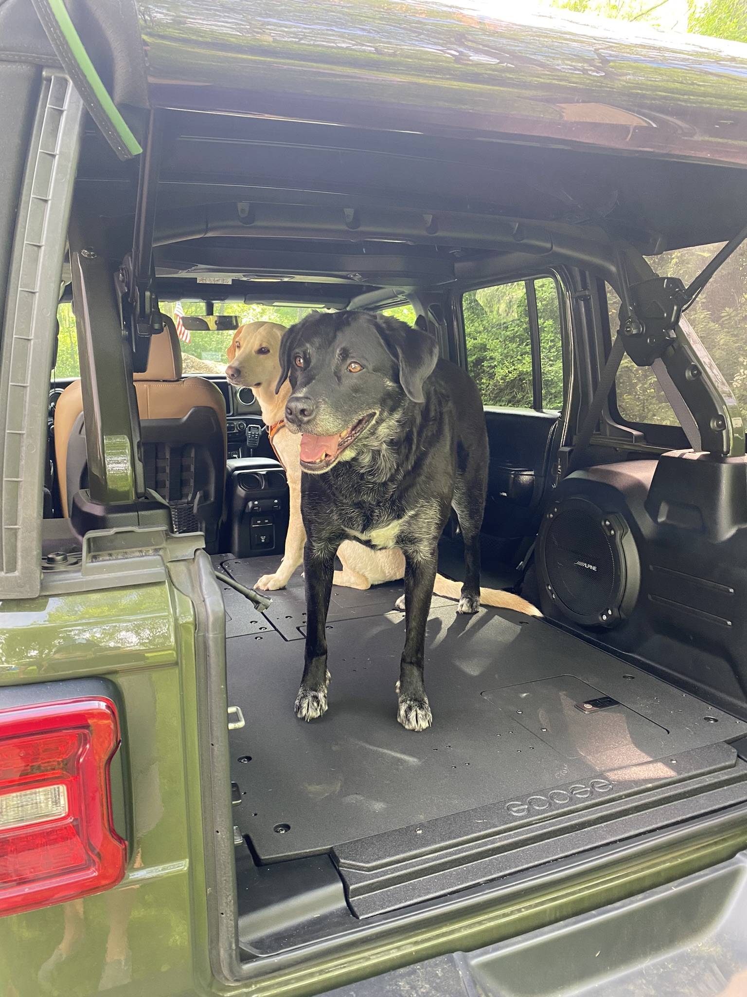 Jeep Wrangler JL Jeep Dog pics A91AC92D-A290-402B-8E1D-05F4A013D814