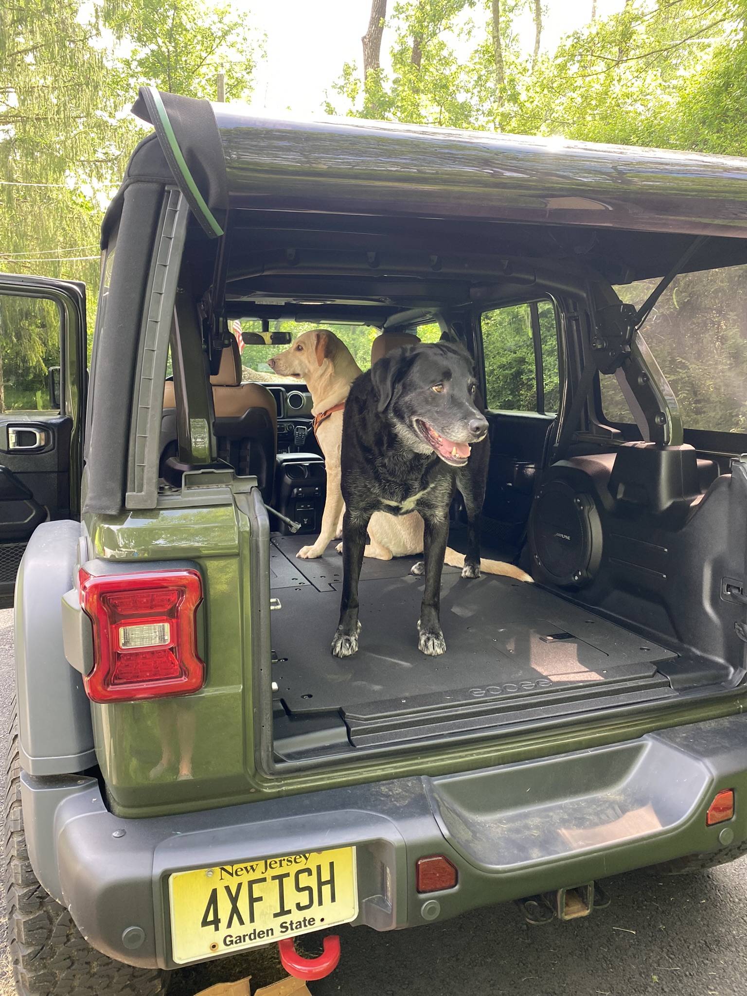 Jeep Wrangler JL Jeep Dog pics 303D2A21-A752-43E7-B558-F0127C9ECA96