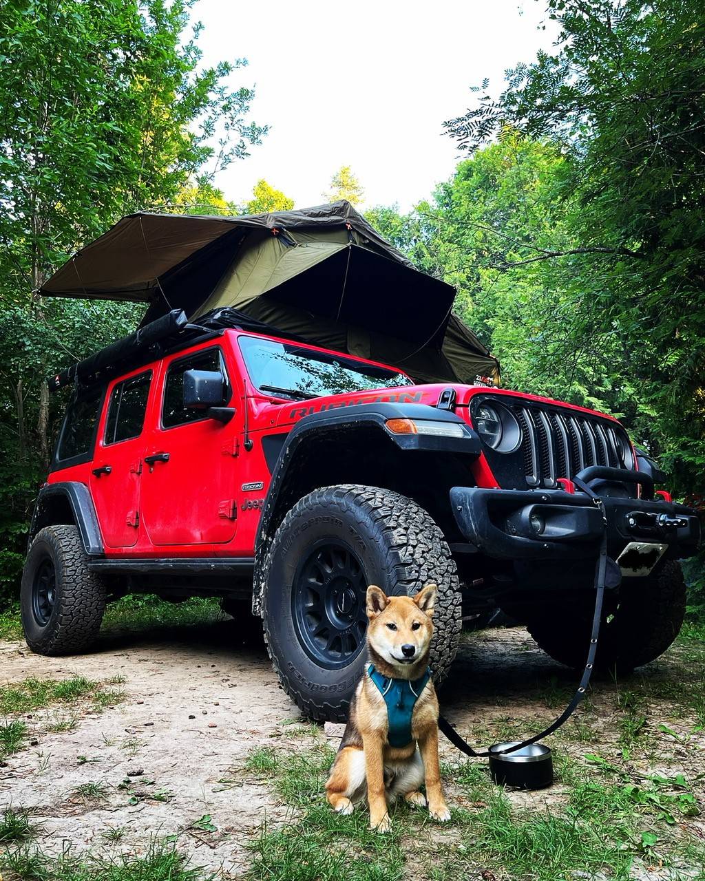 Jeep Wrangler JL Jeep Dog pics jeepdo