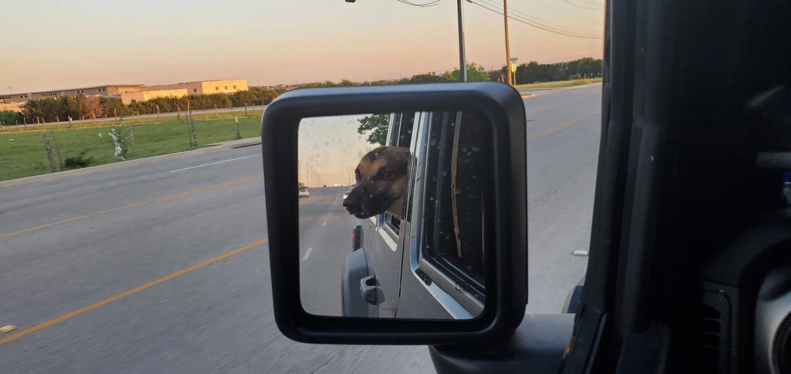 Jeep Wrangler JL Jeep Dog pics 20210506_200015