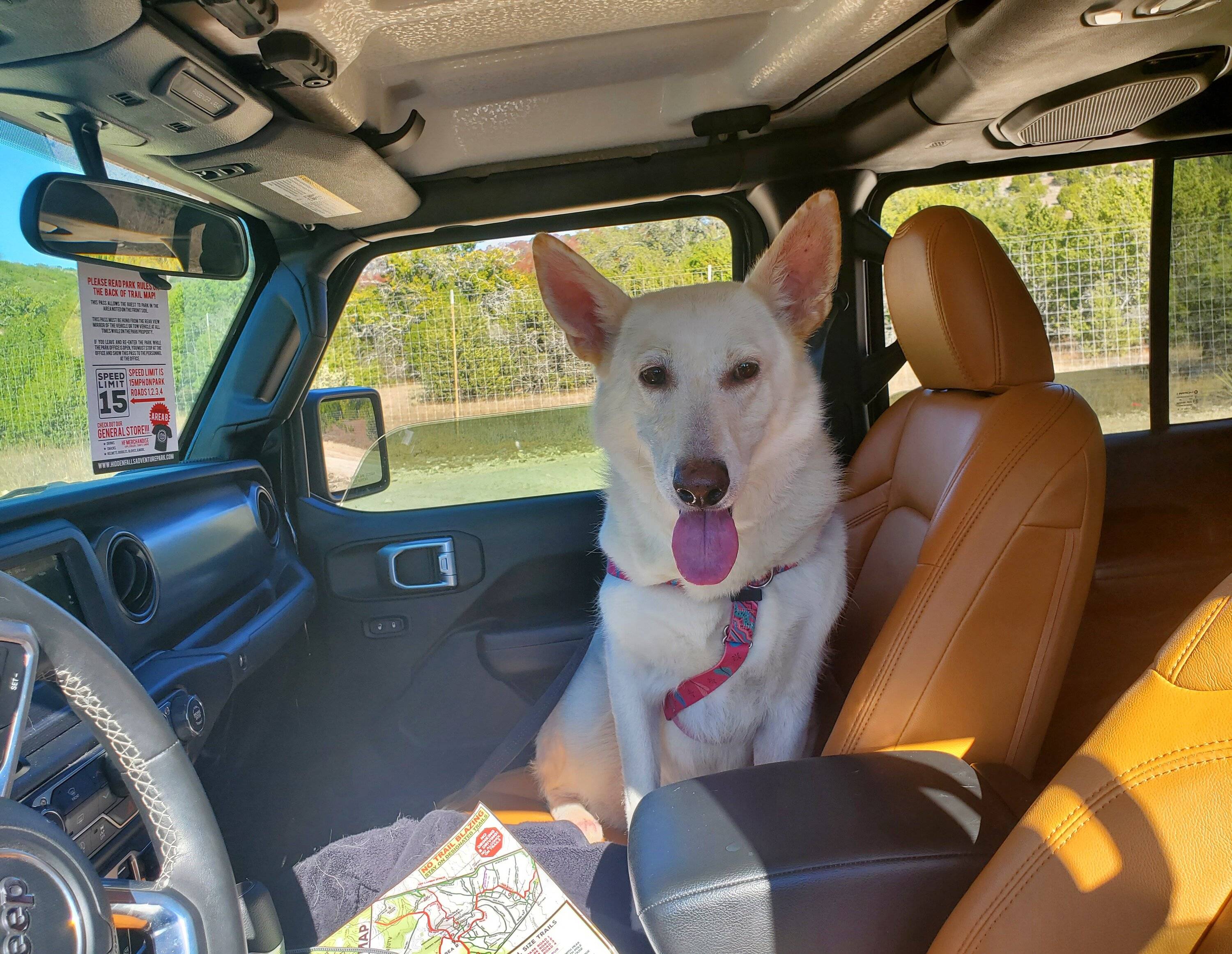 Jeep Wrangler JL Jeep Dog pics 20201212_124533