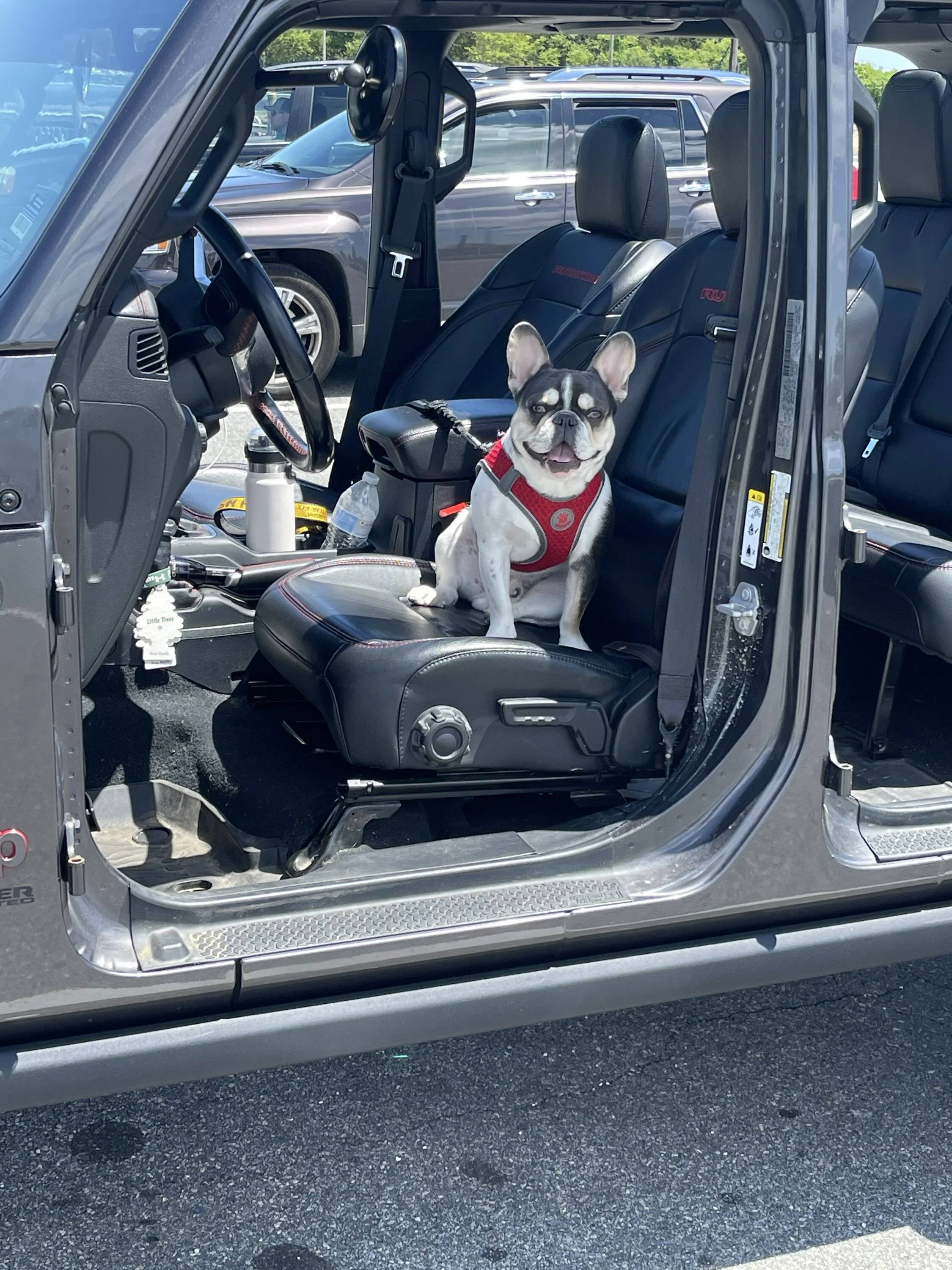 Jeep Wrangler JL Jeep Dog pics 4609F76C-8994-4FBE-BD33-2C1CDC56D8D7