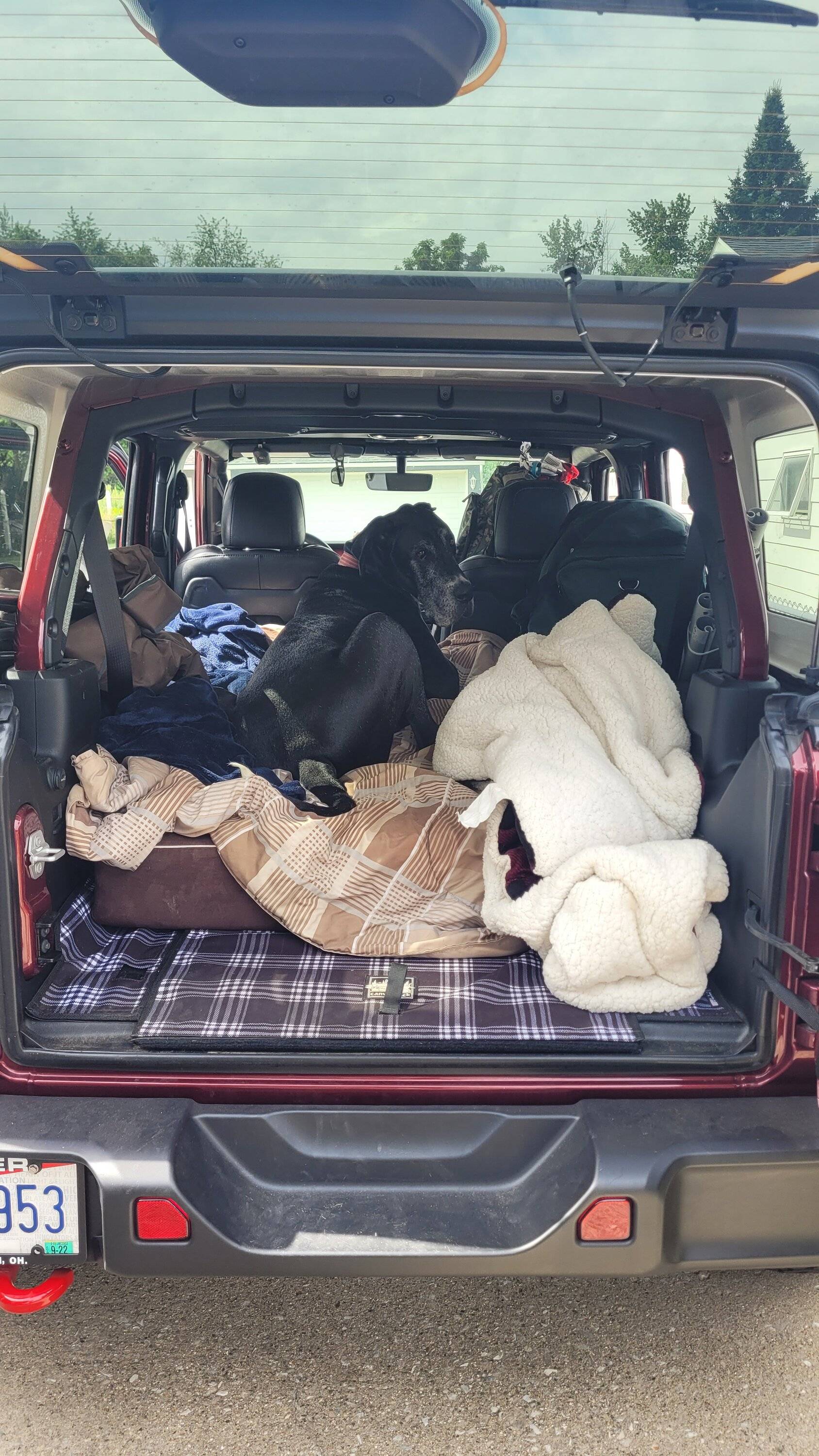 Jeep Wrangler JL Jeep Dog pics 20220620_102715