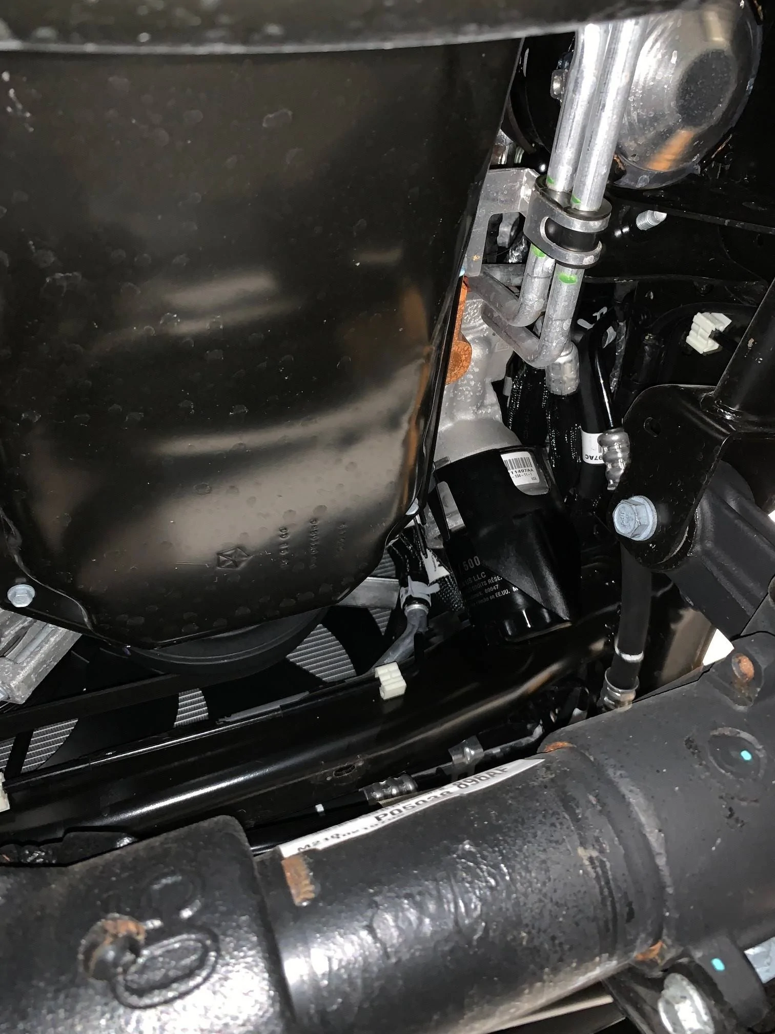 Jeep Wrangler JL Thor's First Oil Change First 4
