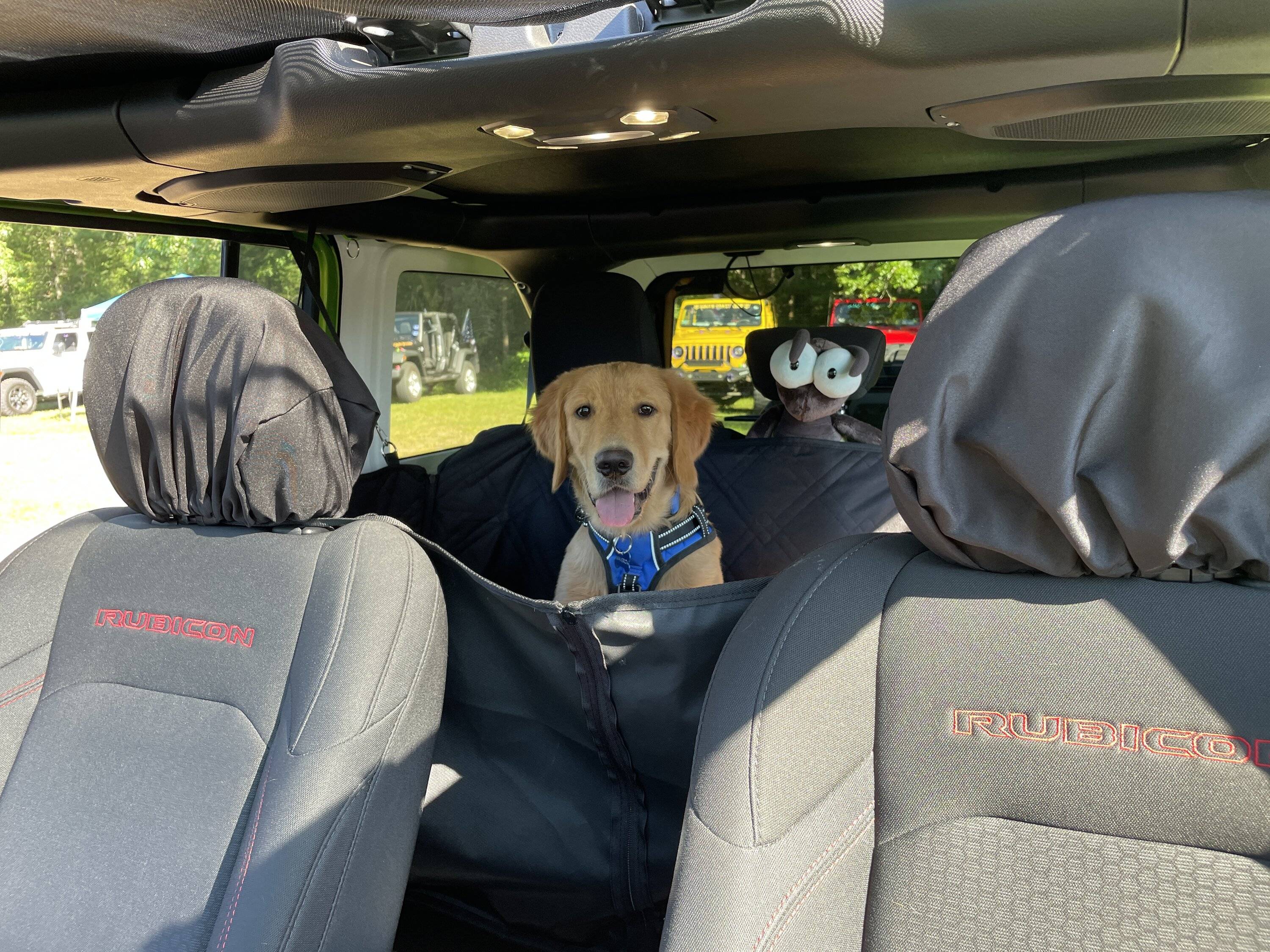 Jeep Wrangler JL Jeep Dog pics 0BA85B30-80E9-4ED1-B9F2-F2FDA9D14700