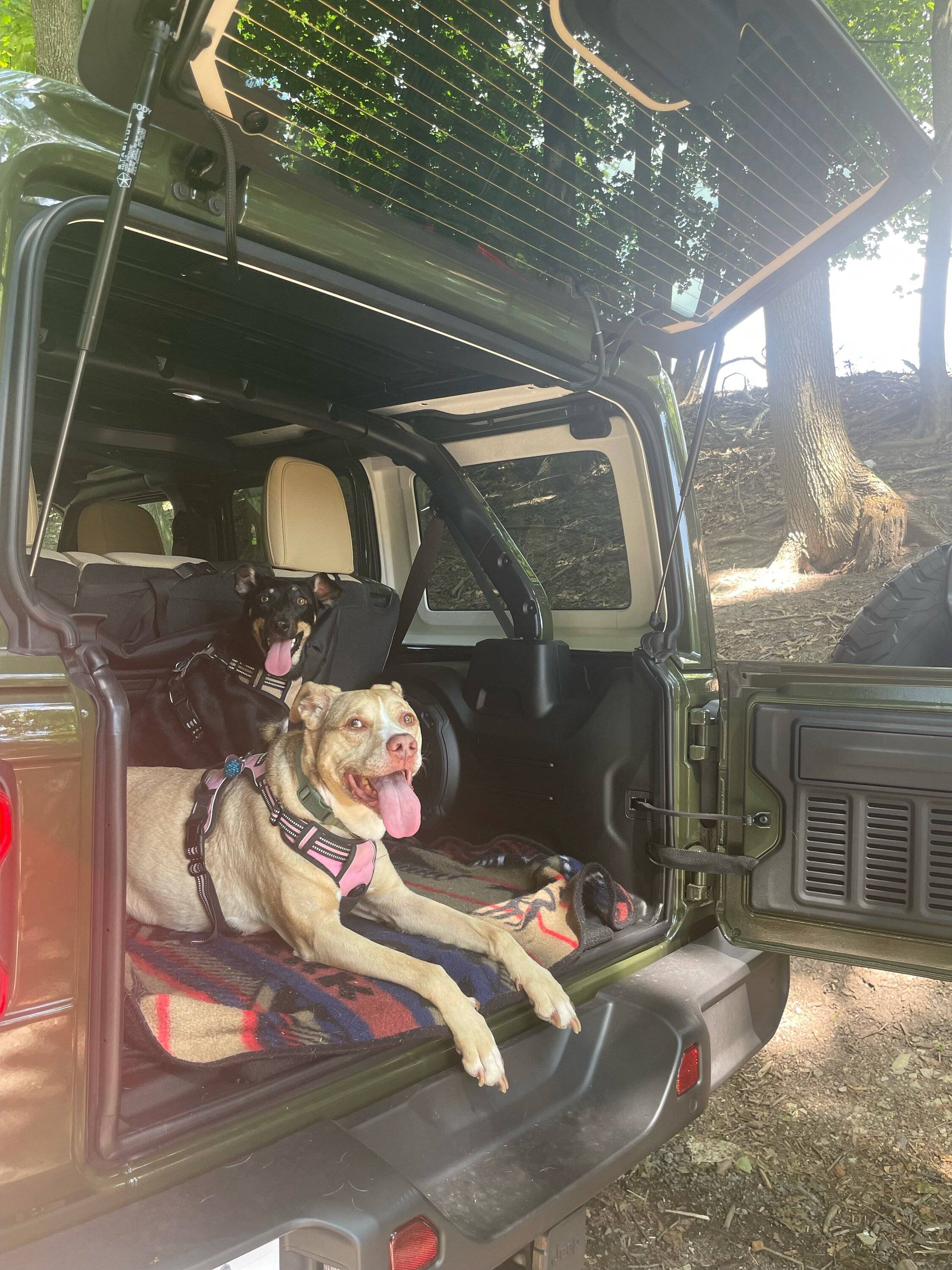 Jeep Wrangler JL Jeep Dog pics 66A18896-3BA0-4630-AD56-E308D940B454
