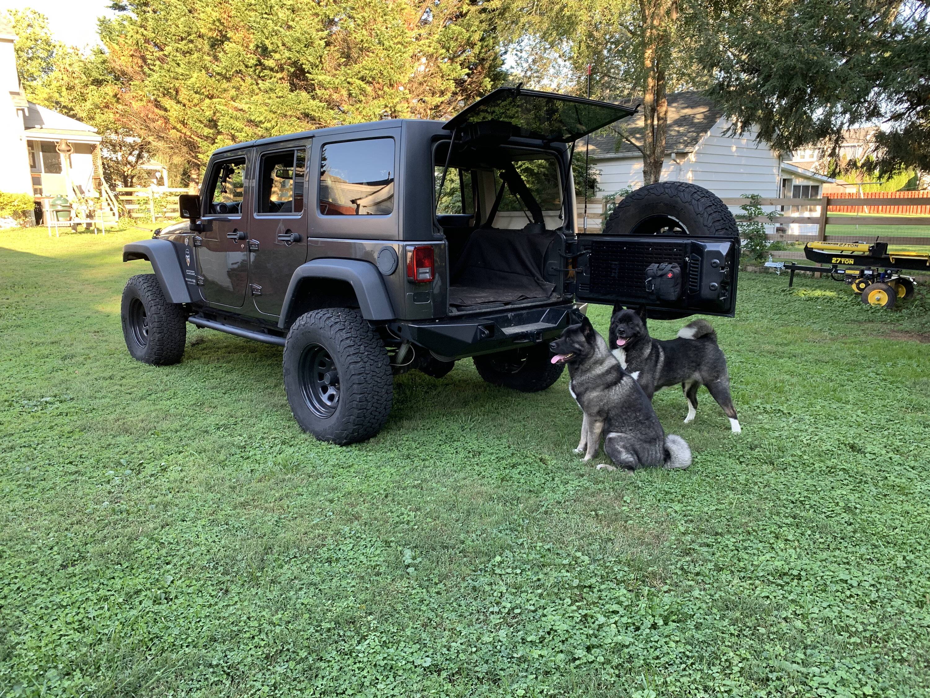 Jeep Wrangler JL Jeep Dog pics DogsReadytoRid