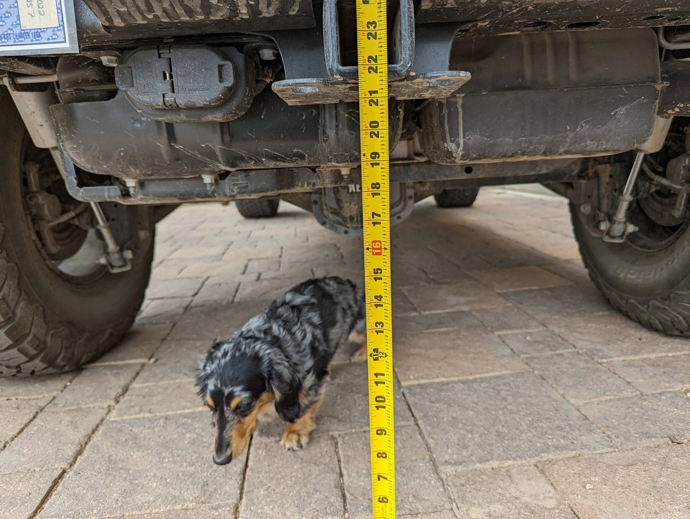 Jeep Wrangler JL Ratbert's AEV JL370 JLURD Build Thread PXL_20220718_195032847