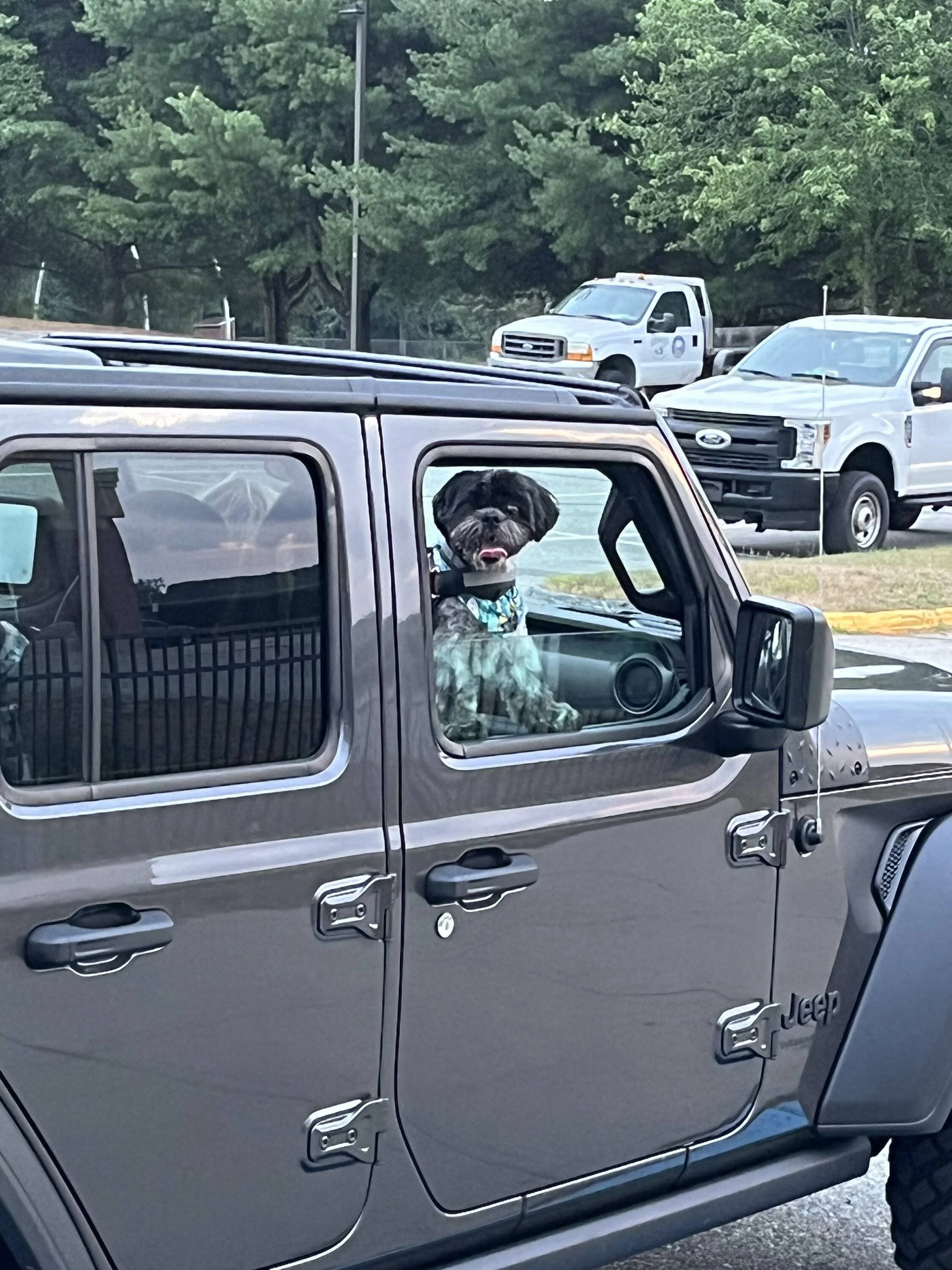 Jeep Wrangler JL Jeep Dog pics D3B6FA5C-8C0C-456D-9E4C-F01BB0555A47